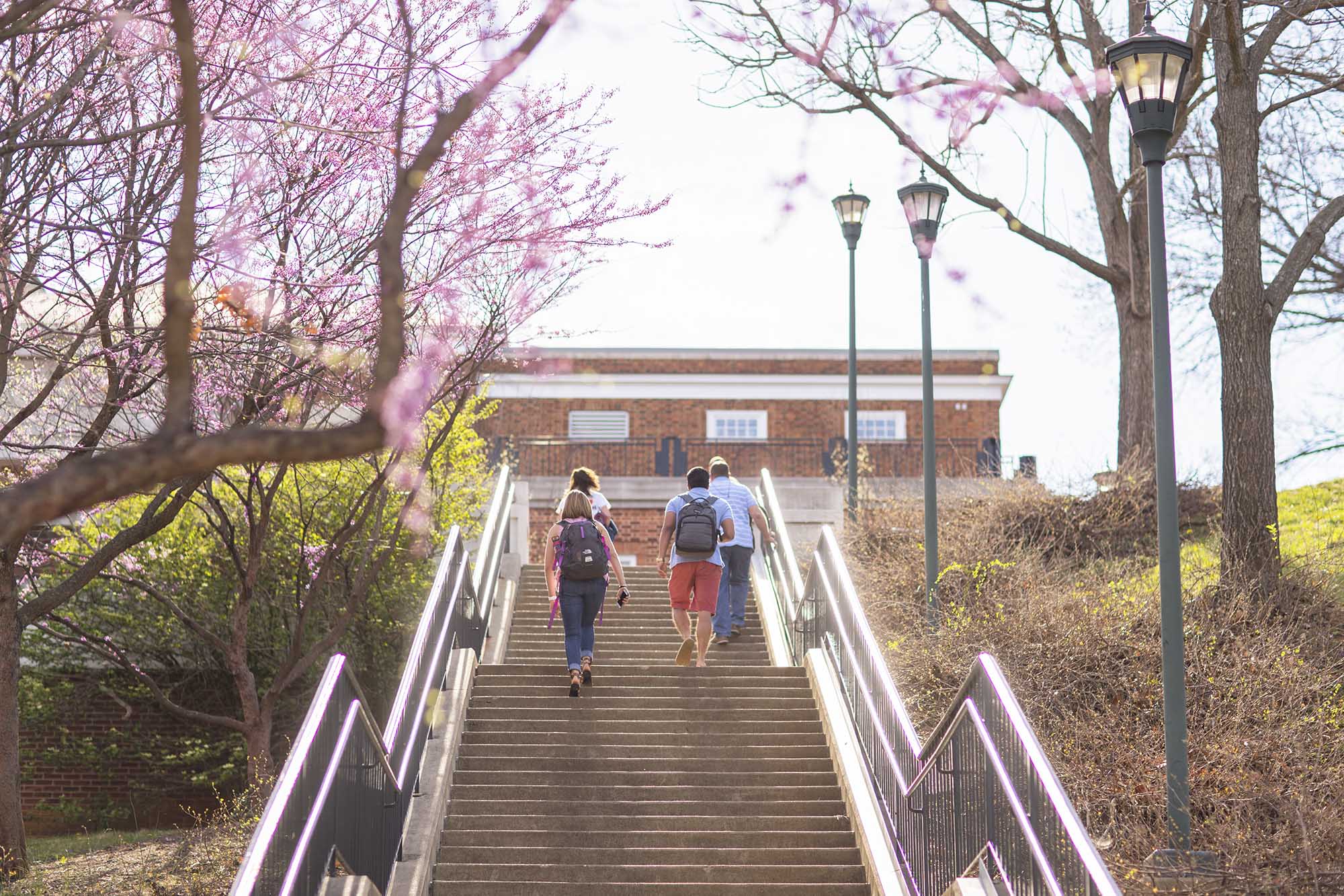 People walking up steps on Grounds