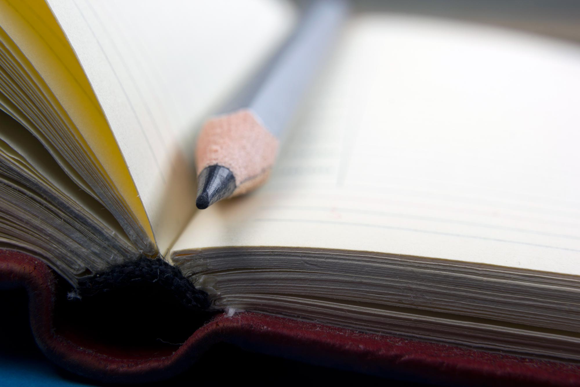 Pencil laying in a book with the pointed end closes to the camera