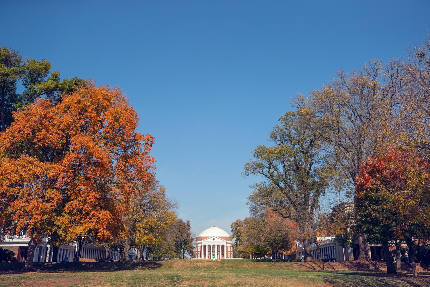 Rotunda from the lawn with trees turning fall colors