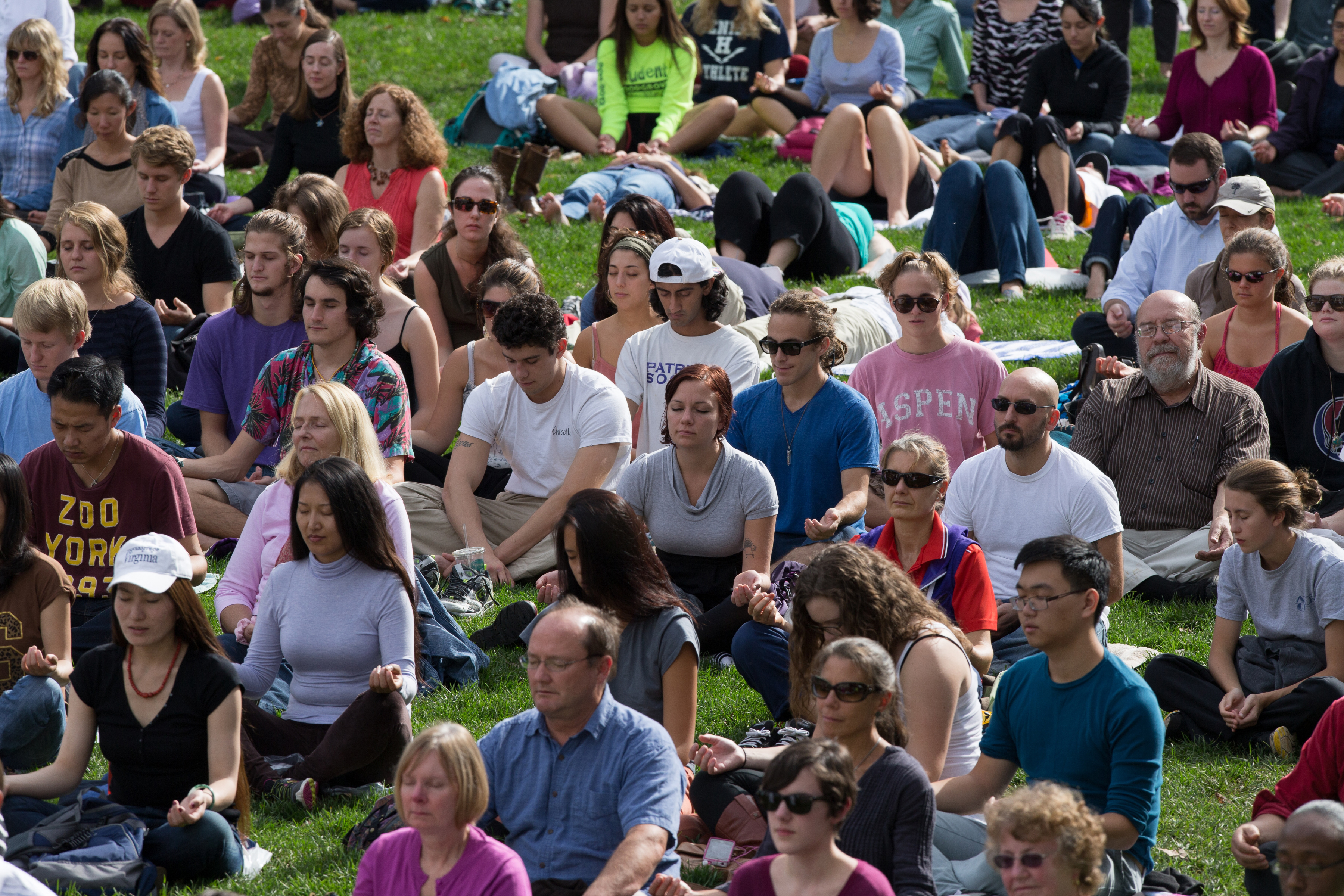 Large crowd of people meditating on the lawn