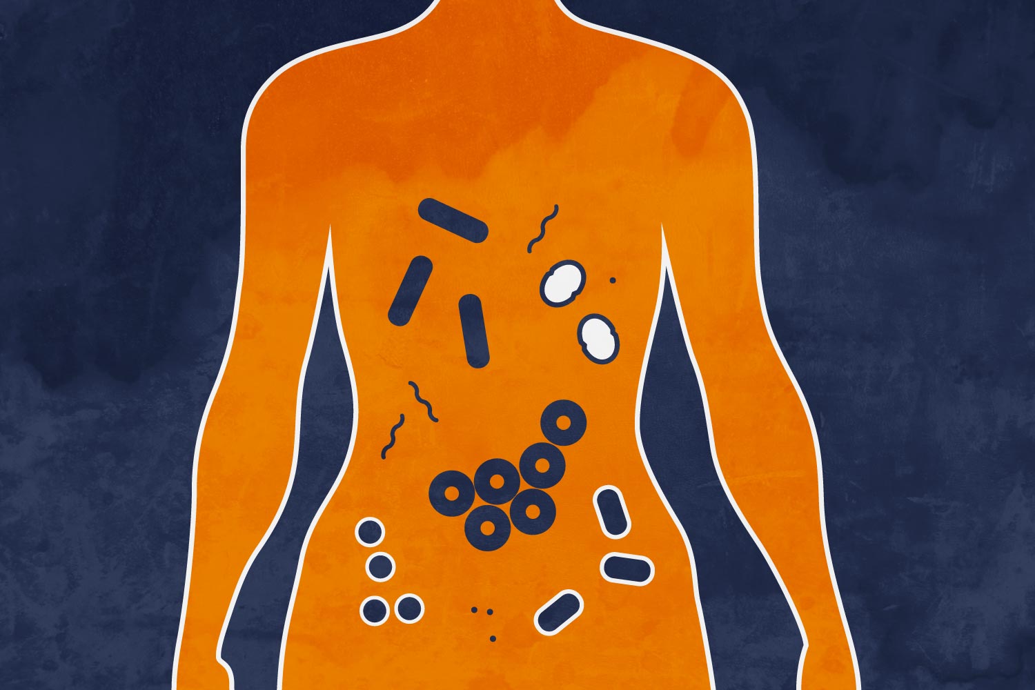 Illustration of a human body colored in orange with various pill shapes and squiggle lines on the trunk