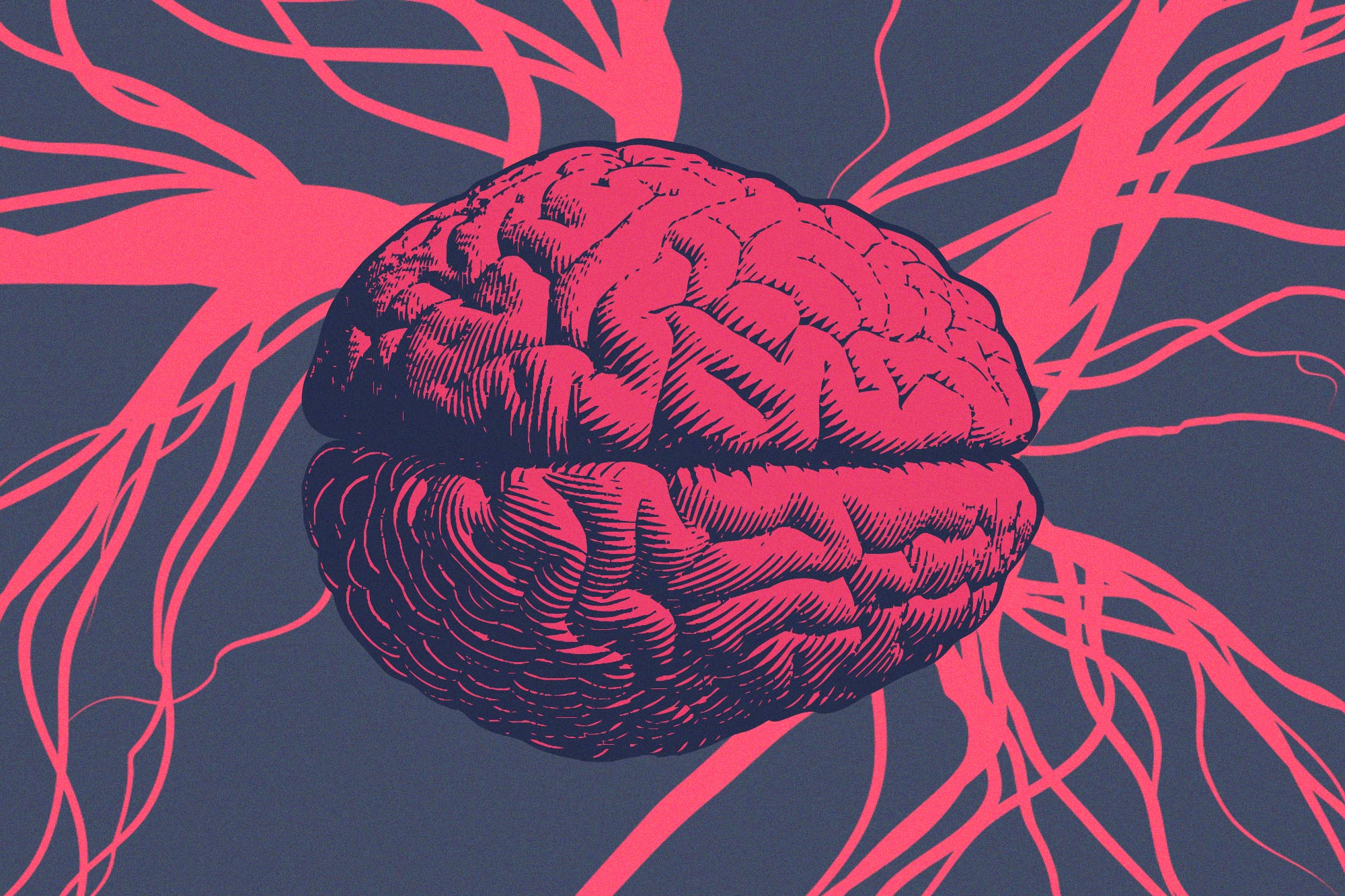 Illustration of a brain with various lines coming out going to the corners of the image