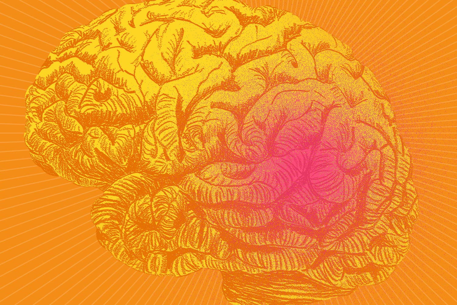 illustration of a brain with one section colored red