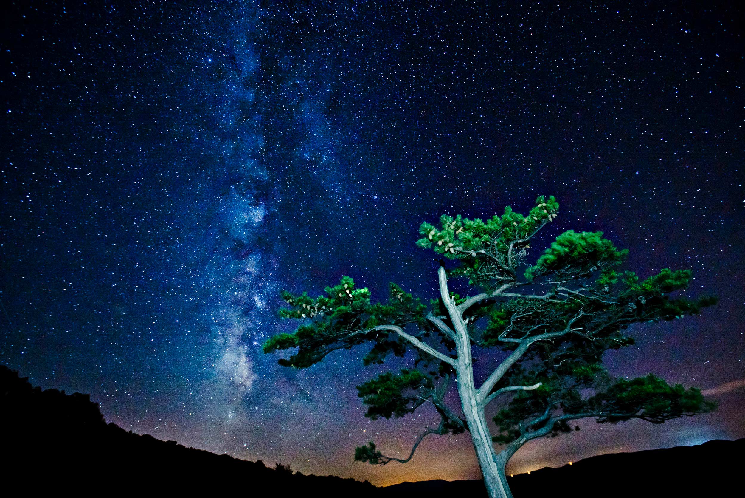 Drawing of the milkyway and a tree