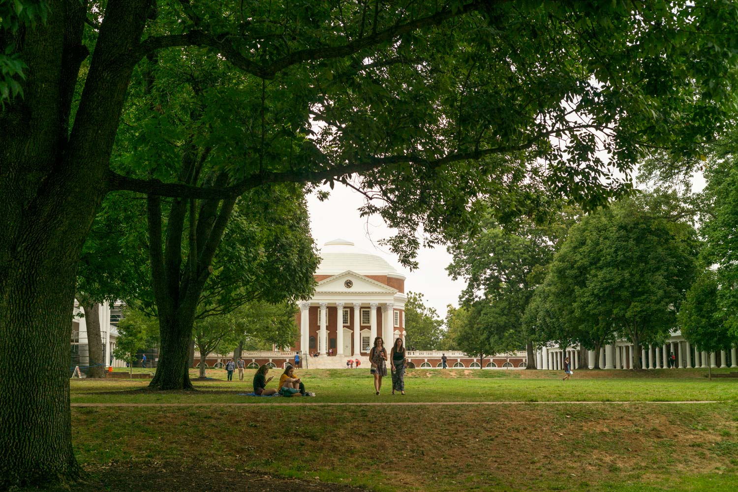 Rotunda with green trees on the Lawn