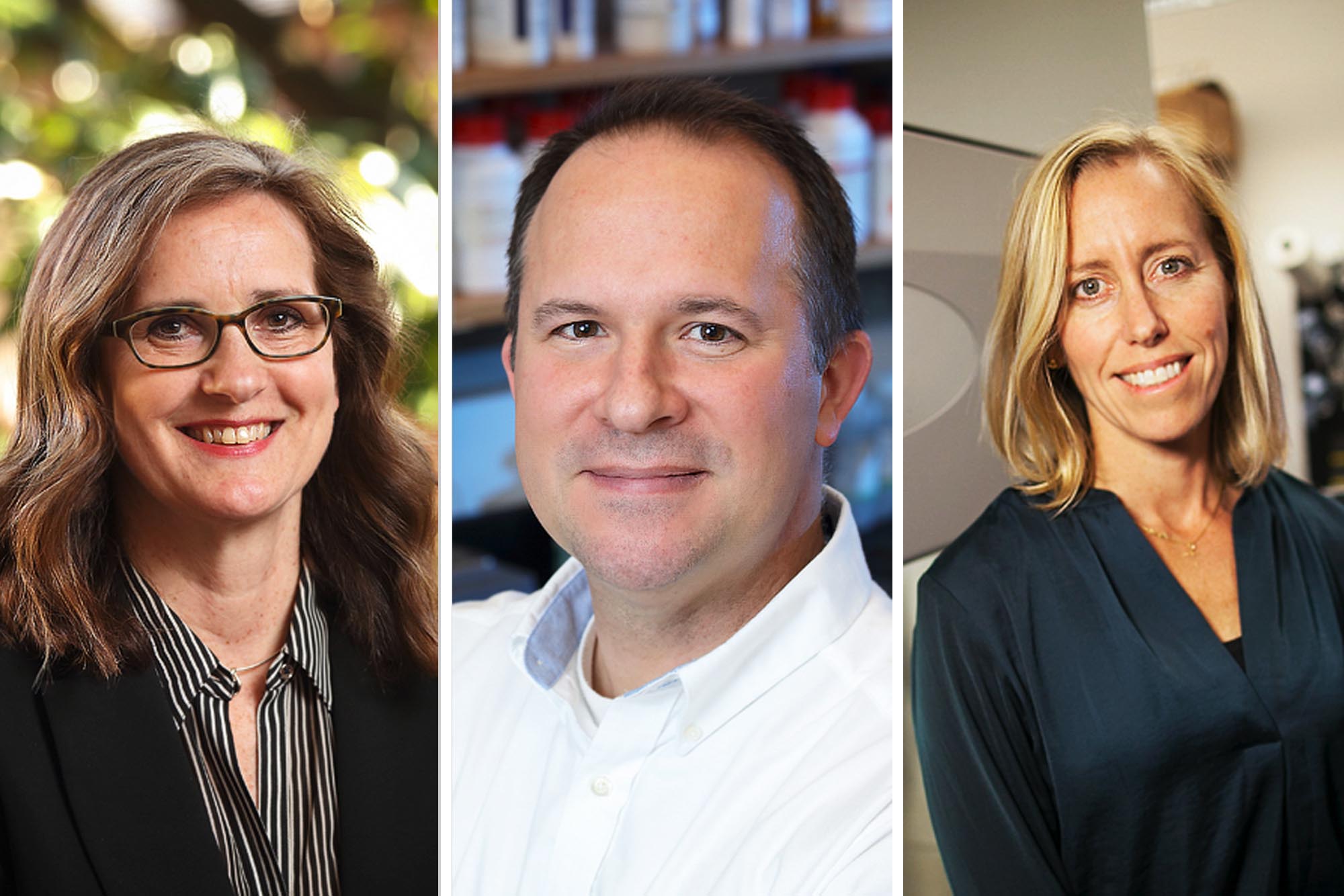 Headshots left to right: Roseanne Ford, Jason Papin and Shayn Peirce-Cottler