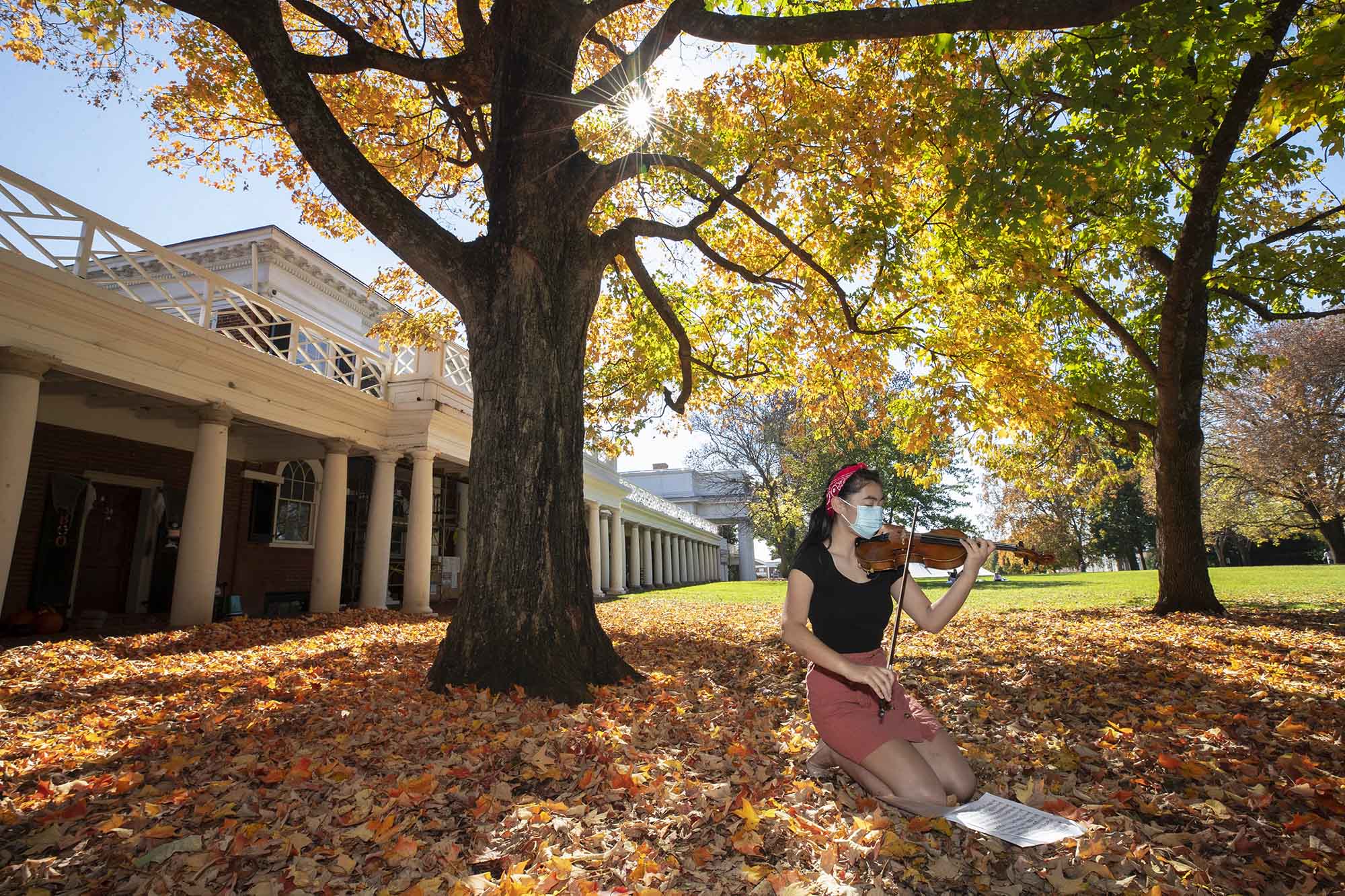 Christina Ngo, sitting on the Lawn playing violin in a pile of leaves