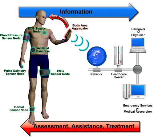 An illustration of how a body-monitoring nanosystem could potentially work