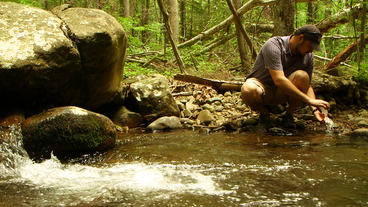 Man collecting water from a stream in the woods