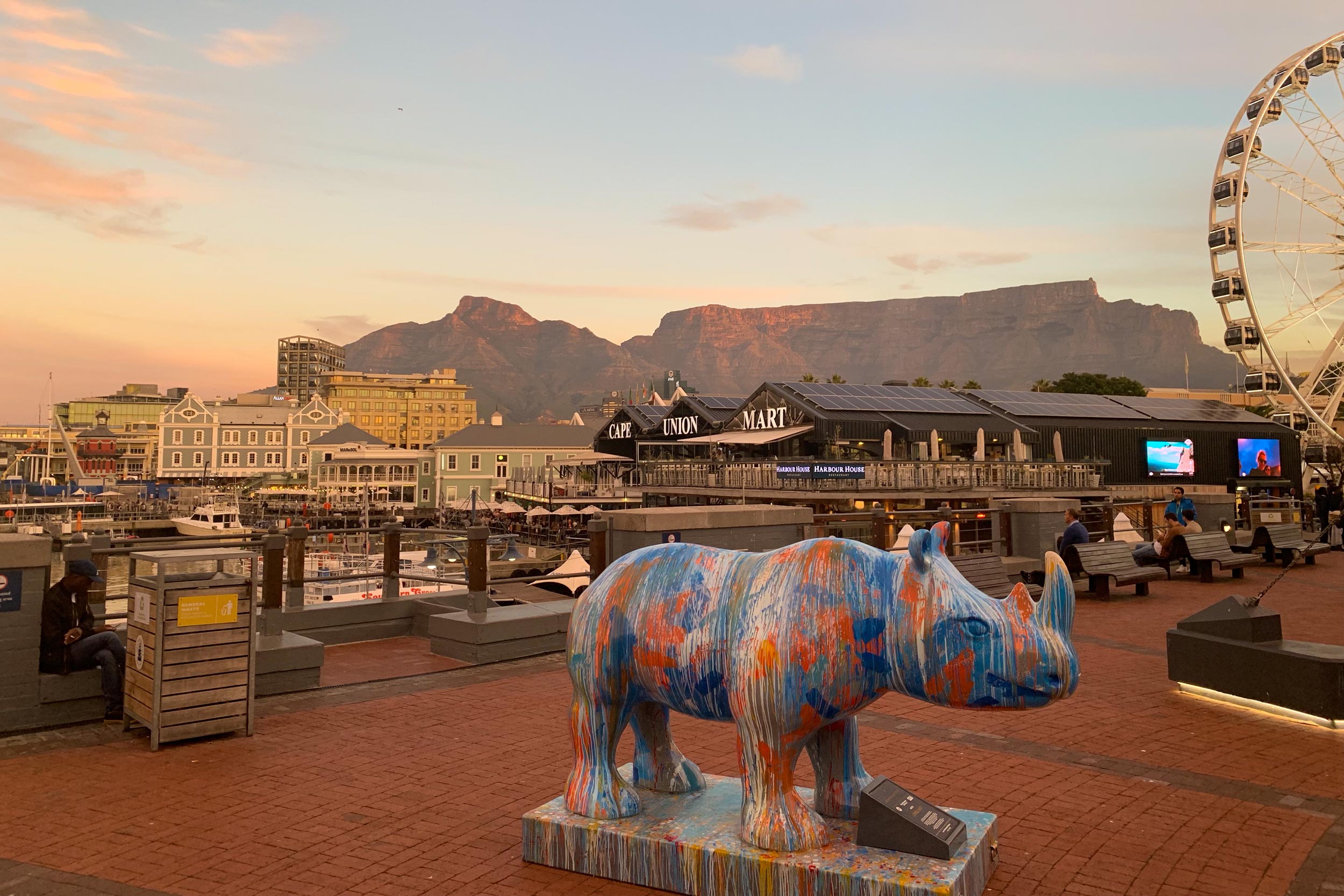 Cape Town, South Africa, port with a multicolored painted rhino