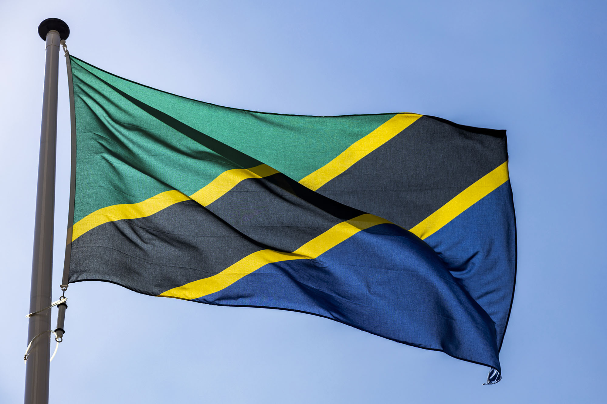 Tanzania Flag flying on a flagpole