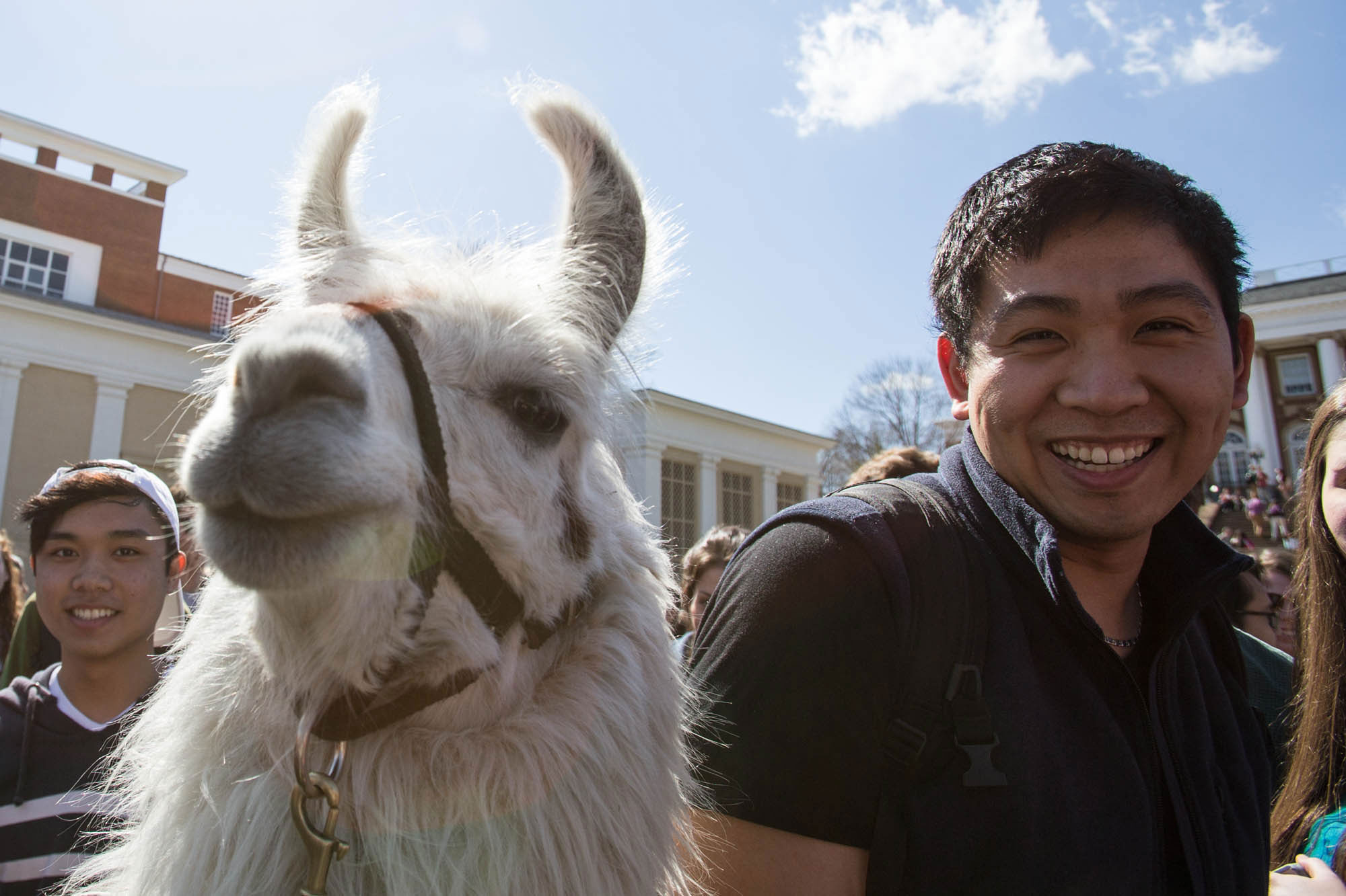 Students standing with an alpaca smiling at the camera