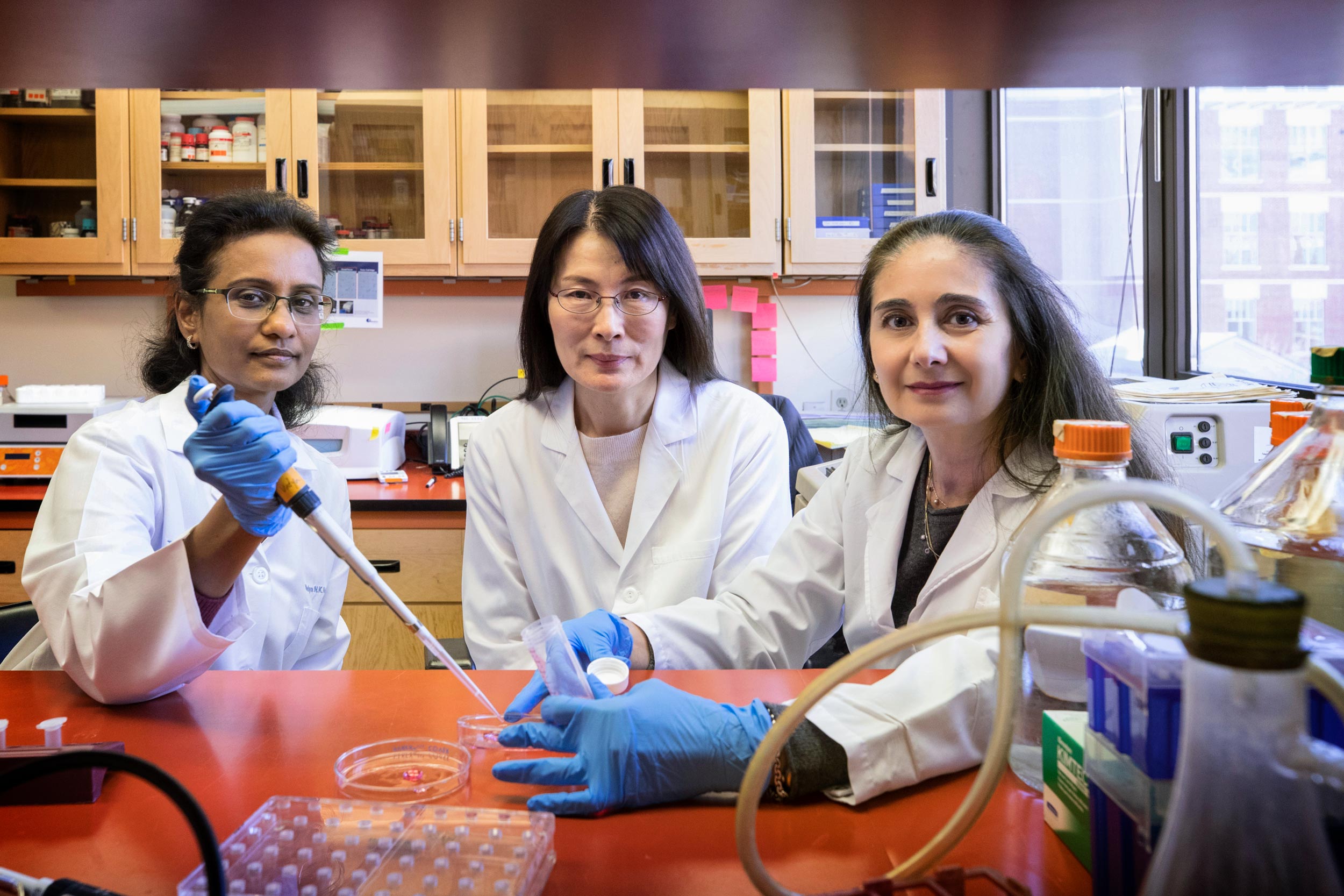 Left to right: Vidya K. Nagalakshmi, Minghong Li and Maria Luisa S. Sequeira-Lopez work together on an experiment