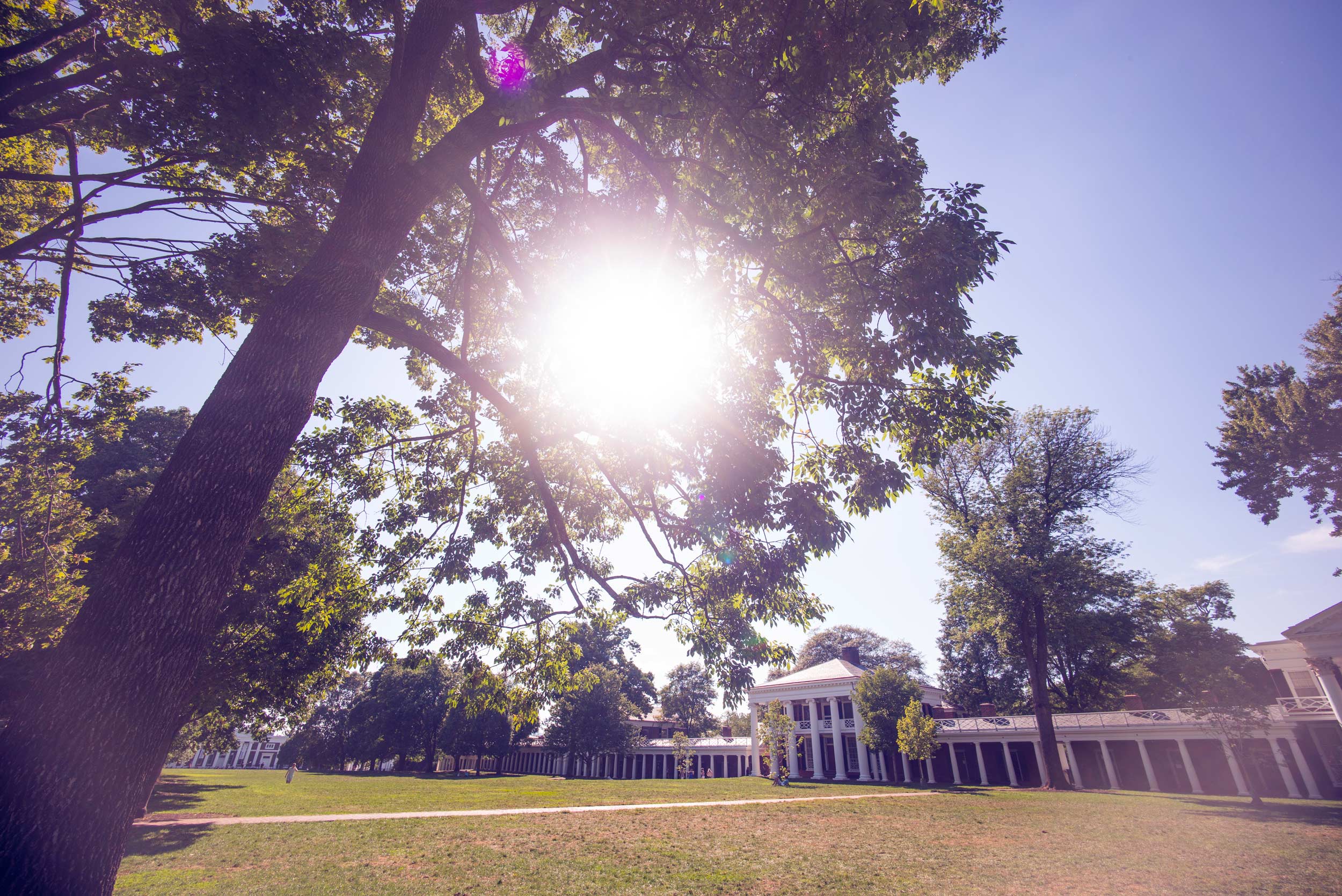 The University of Virginia’s Lawn as the sun peaks through a tree