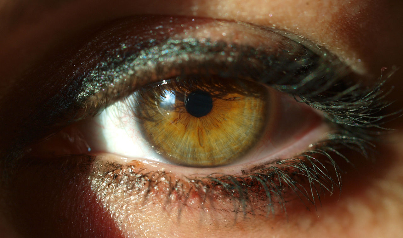 Up close view of someones eye