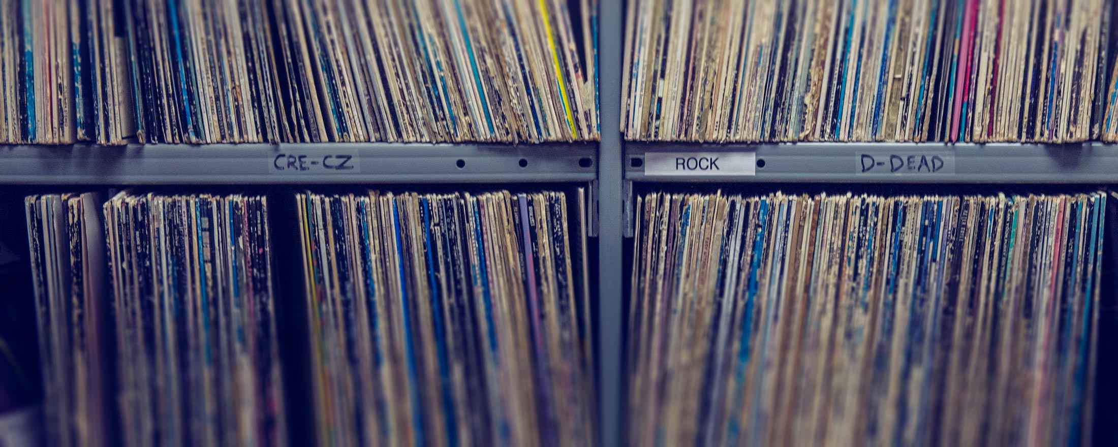 Vinyl records on metal bookshelves