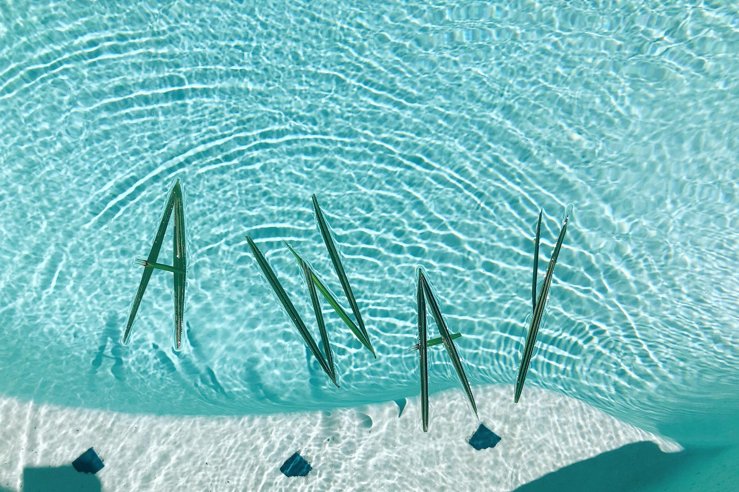 Swimming pool with long grass blades spell AWAY  in the water