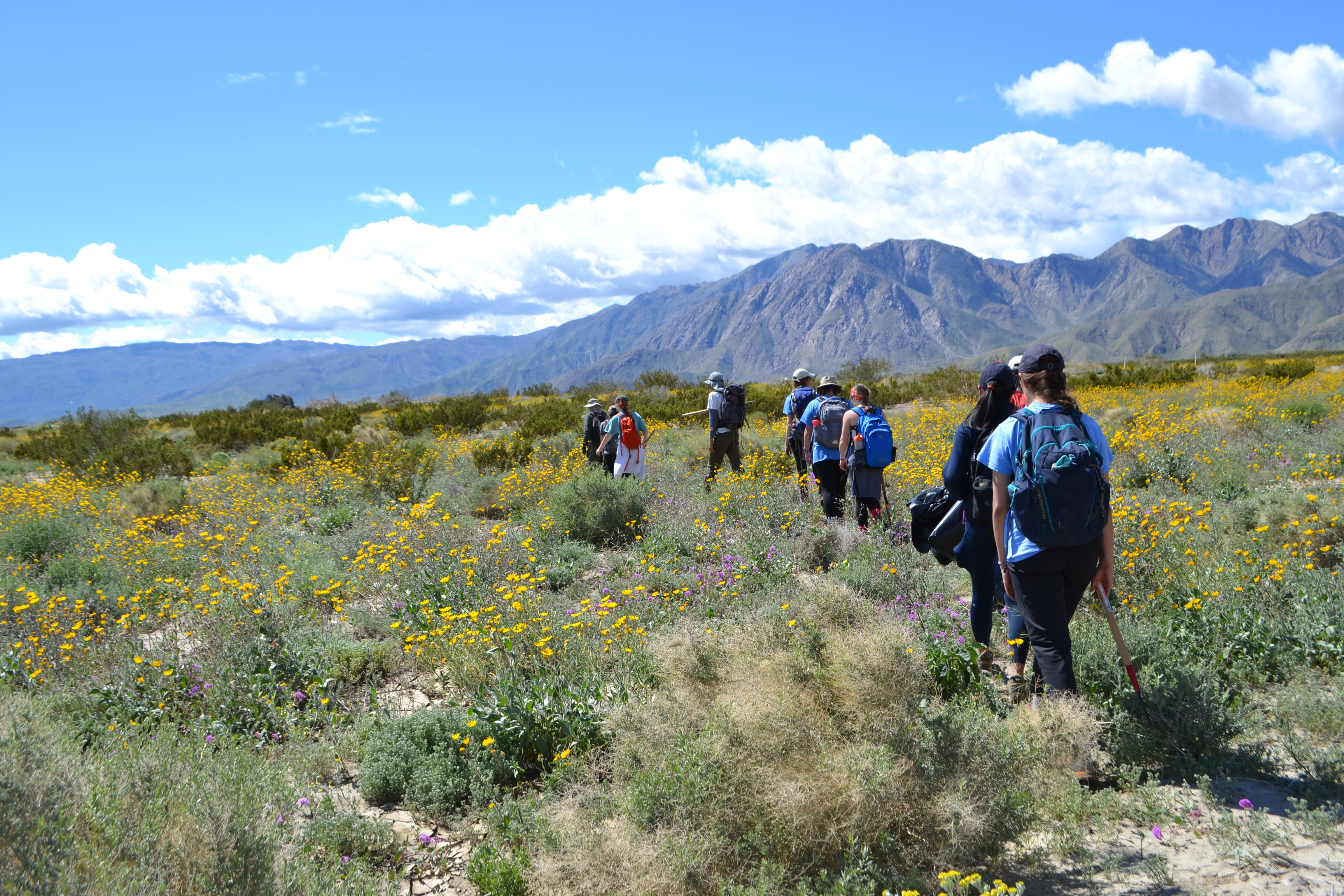 Students hiking in a field