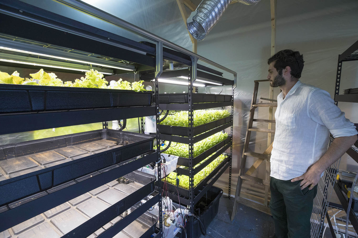 Will Graham looks at growing plants