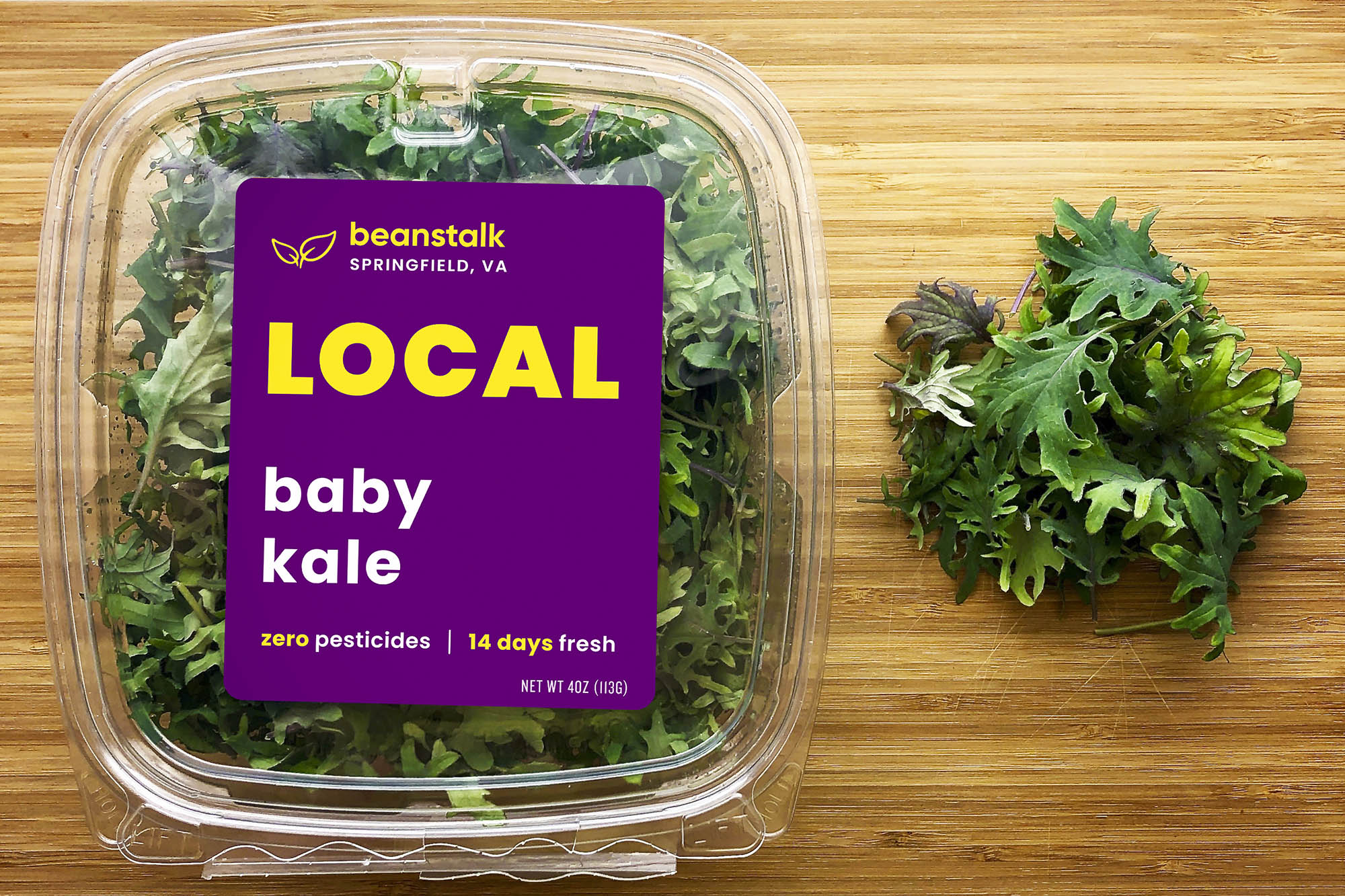 Kale salad in a plastic container and some sitting on wooden counter top