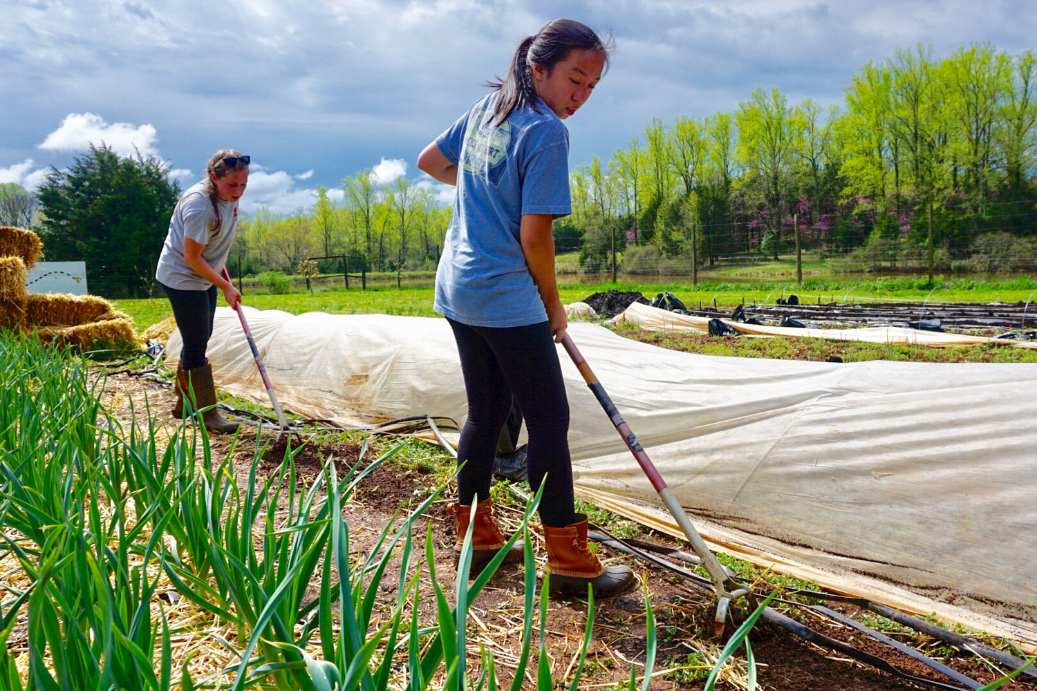 Mikaela Ruiz-Ramon, works in a garden