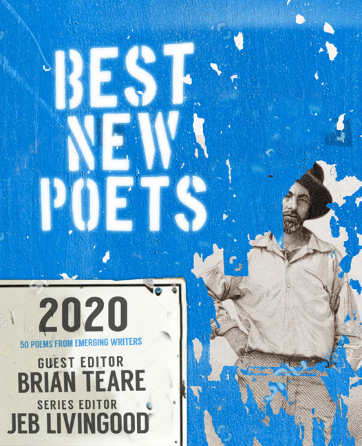Best New Poets of 2020