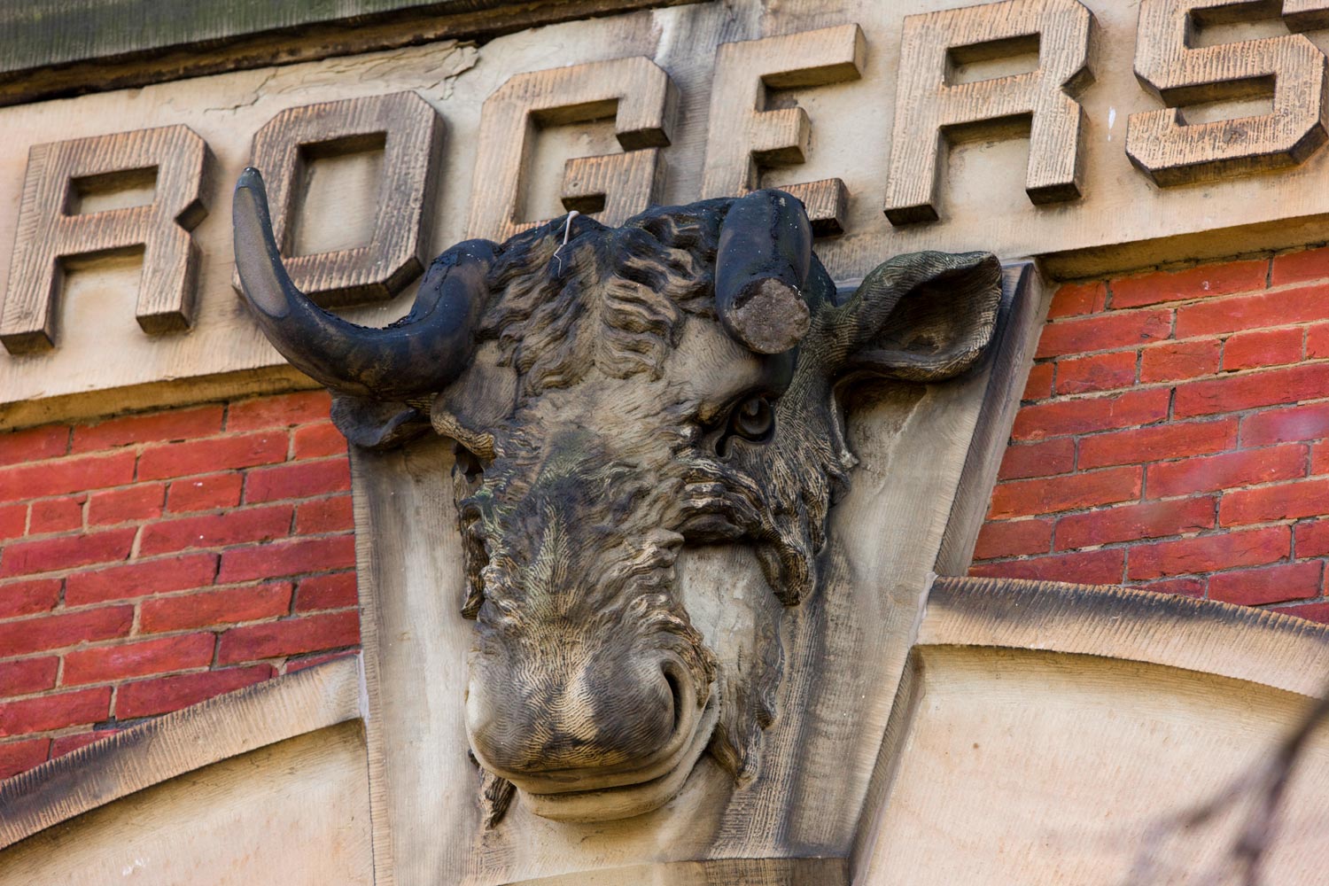 The carved bull on Brooks Hall's exterior