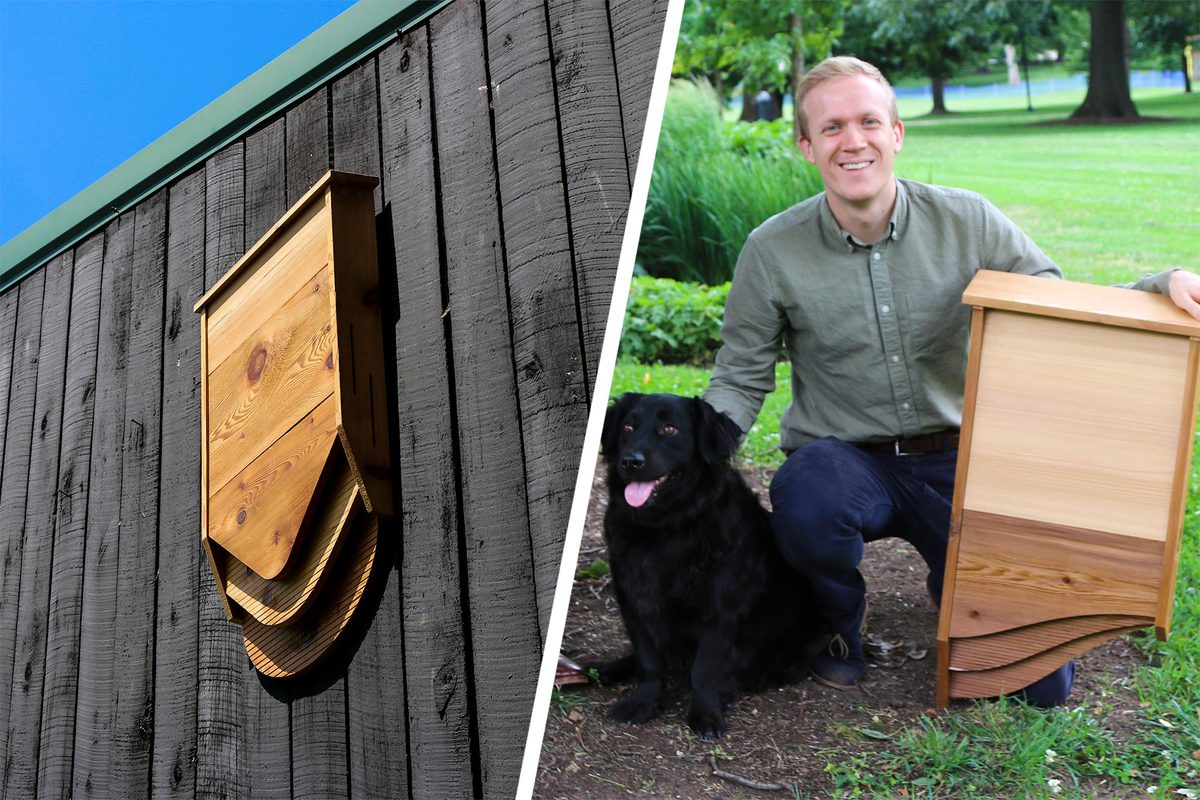 Left: BatBNB on a wood wall Right: Rännefors with his dog and holding a BatBnB, 