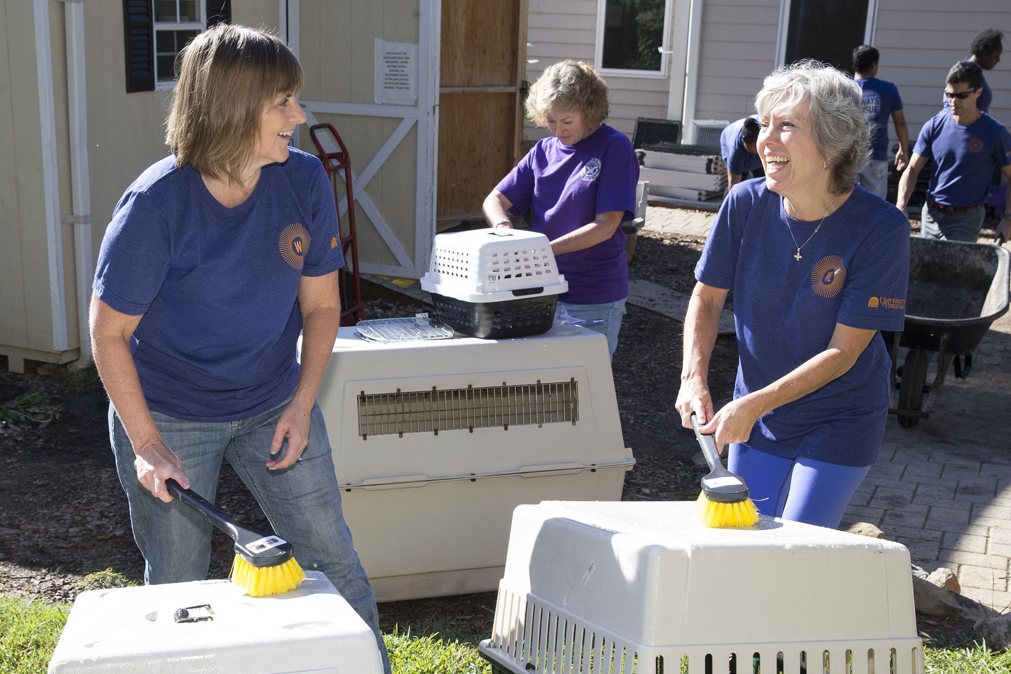 Darden School of Business employees cleaned cat and dog carrier boxes at the SPCA. Photos by Dan Addison / University Communications