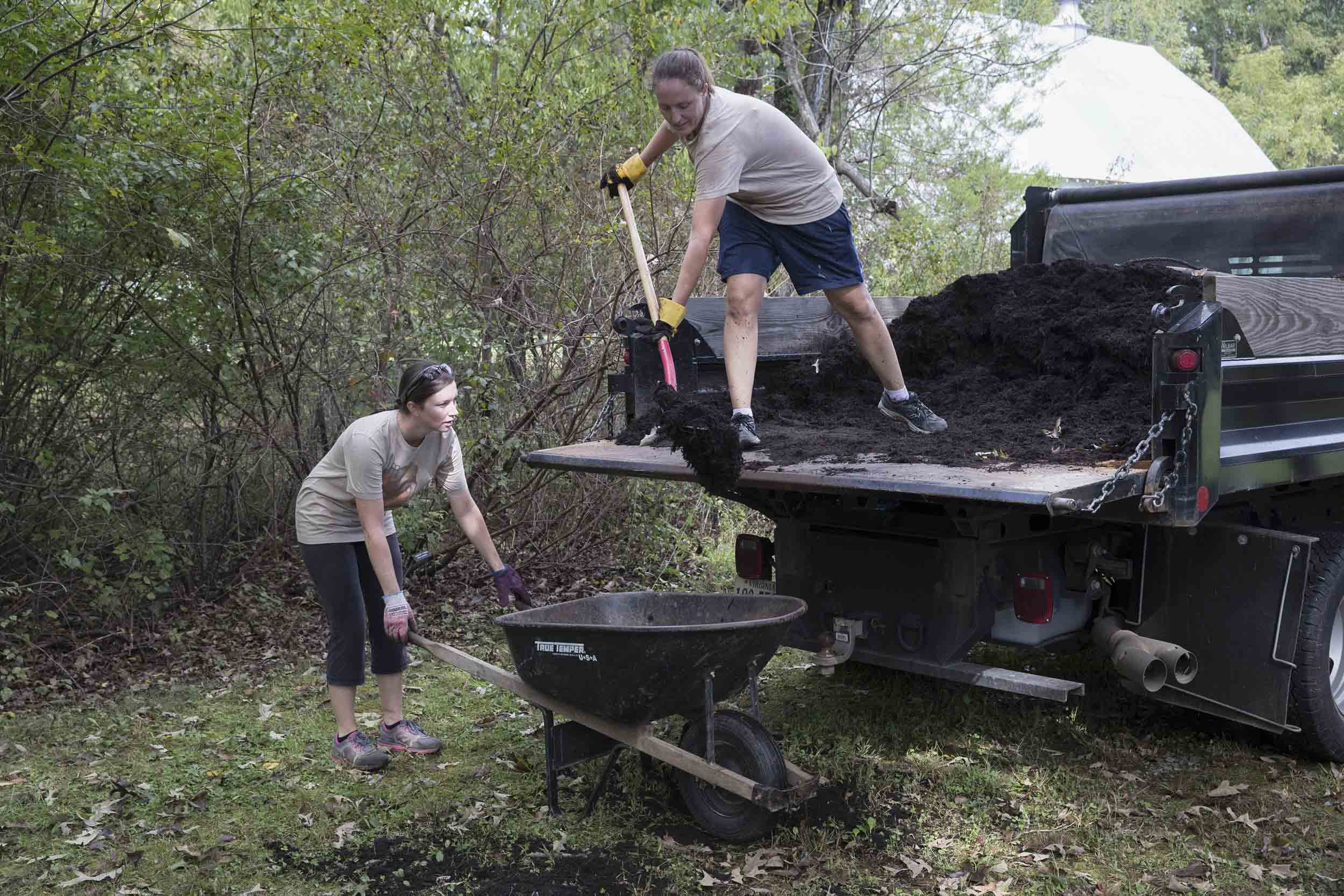Voluteer shovels mulch from a truck to a wheel barrow that another volunteer is holding