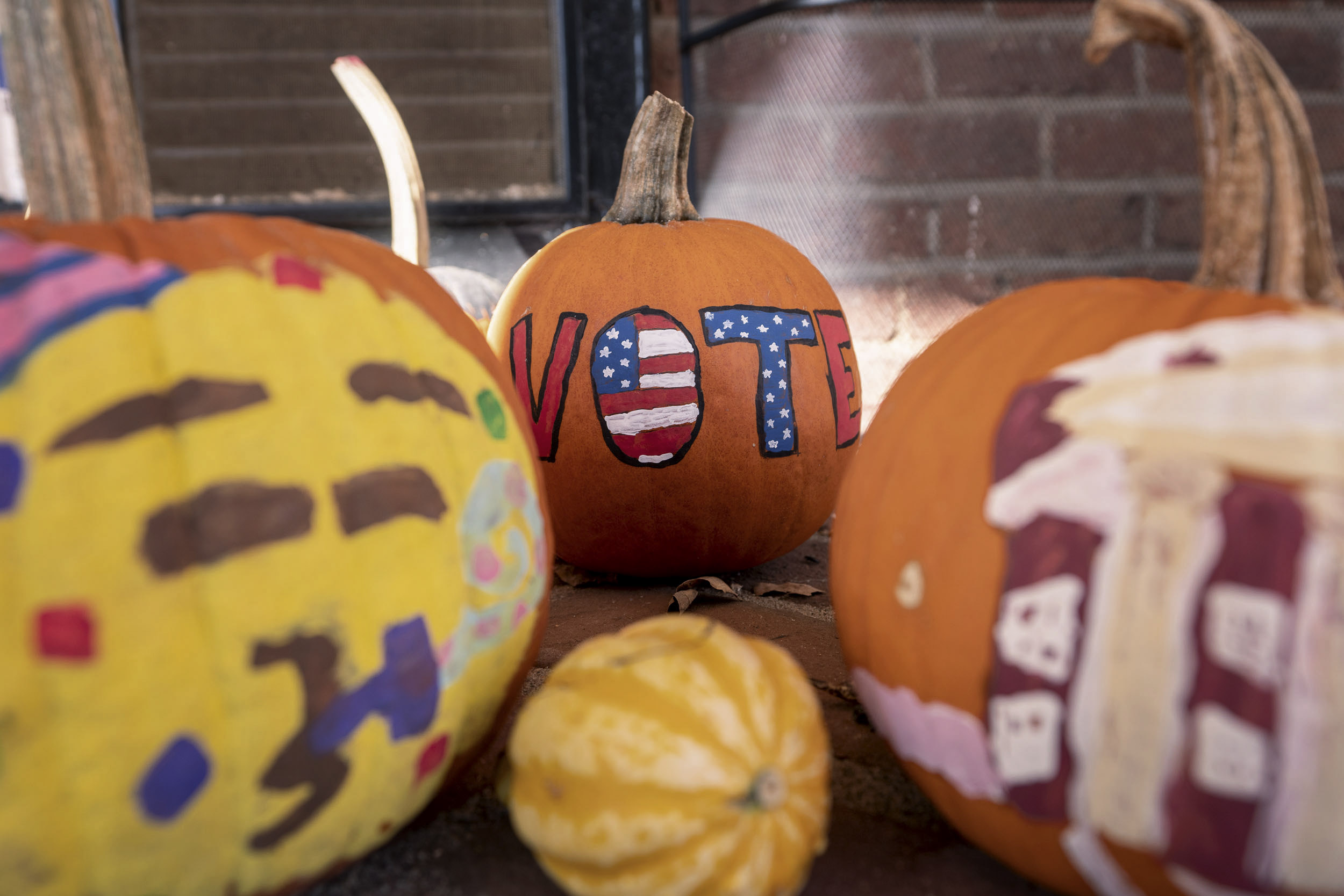 Decorated pumpkins with the in focused pumpkin saying vote