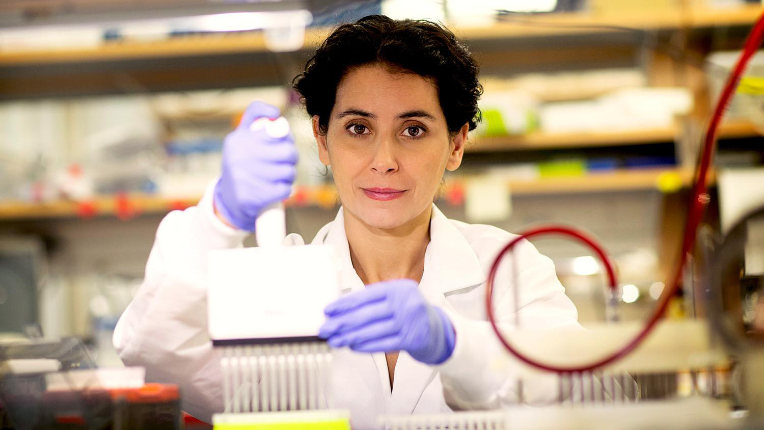 Eyleen O Rourke working in a lab looking at the camera