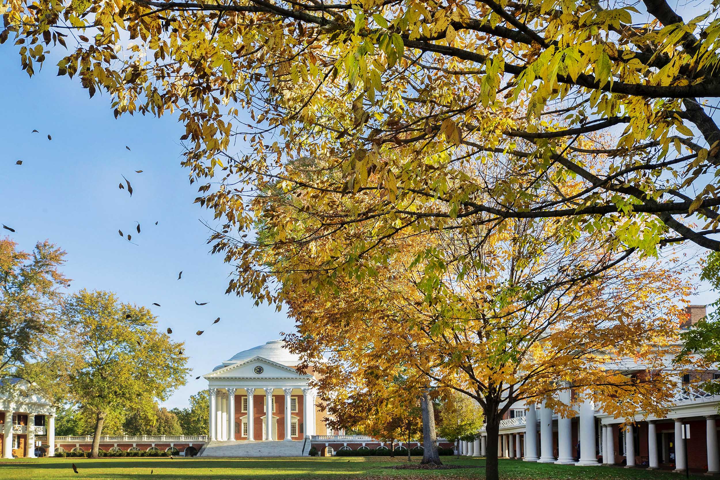 Rotunda as yellow leaves fly off of trees