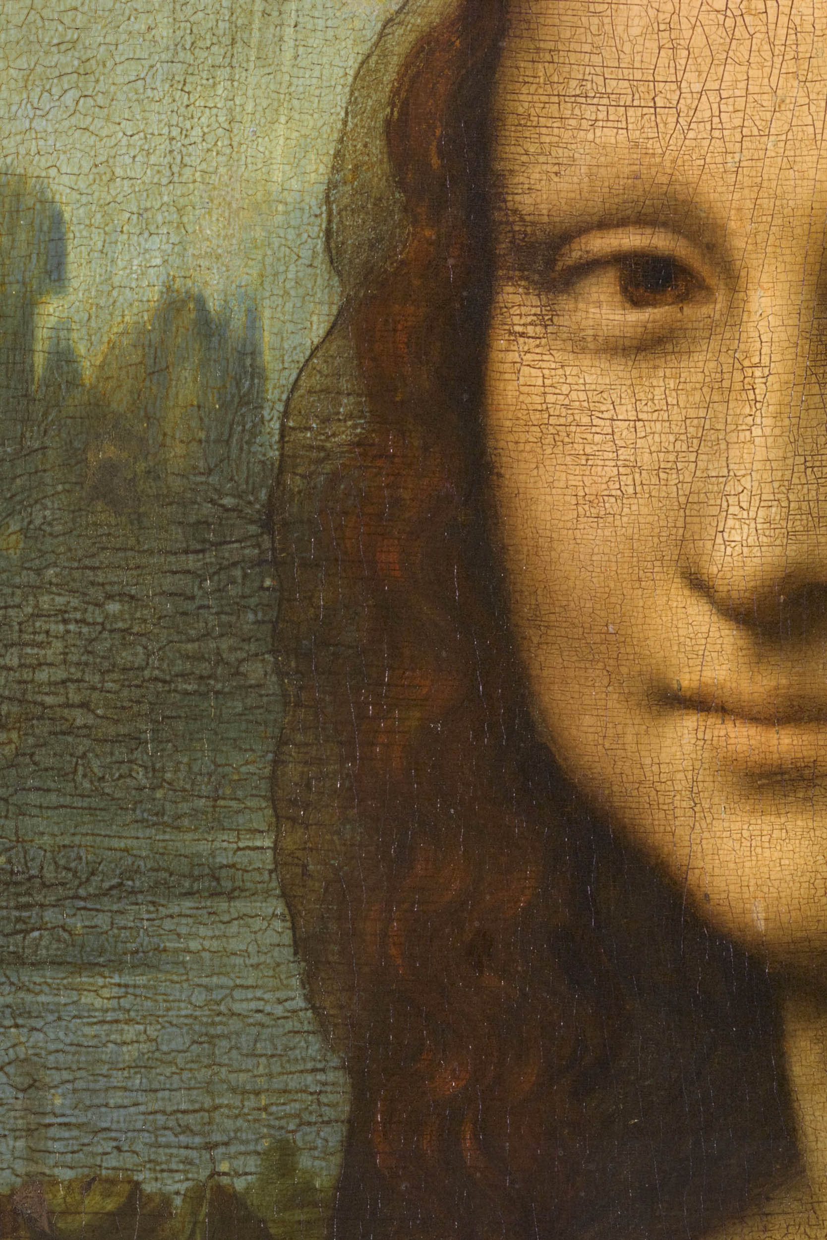 the vinci painting