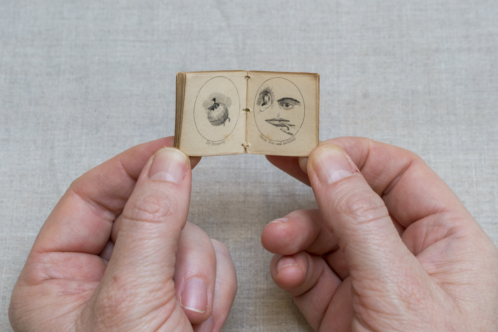 Person holding a mini book