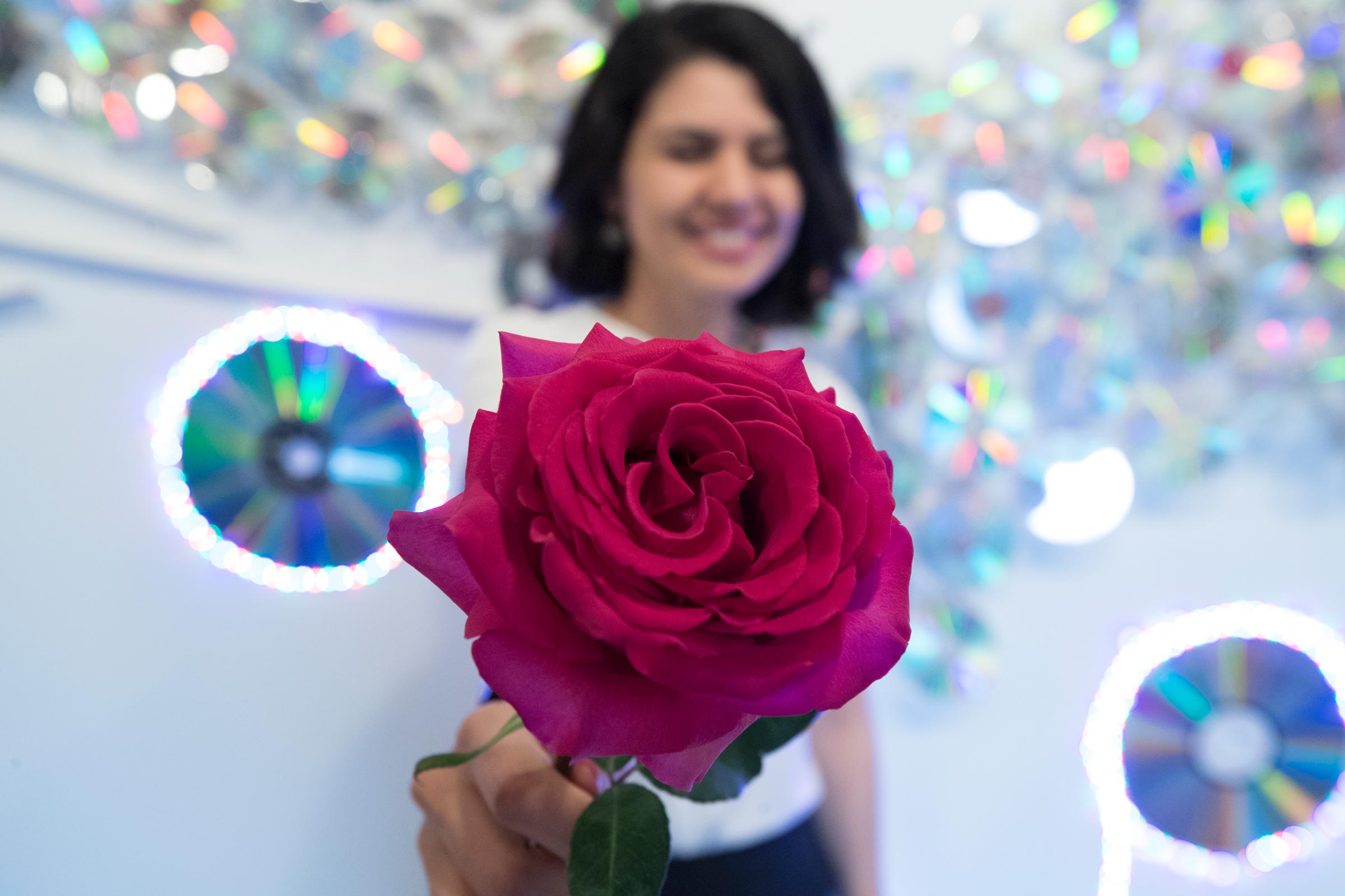 Person holding a red rose