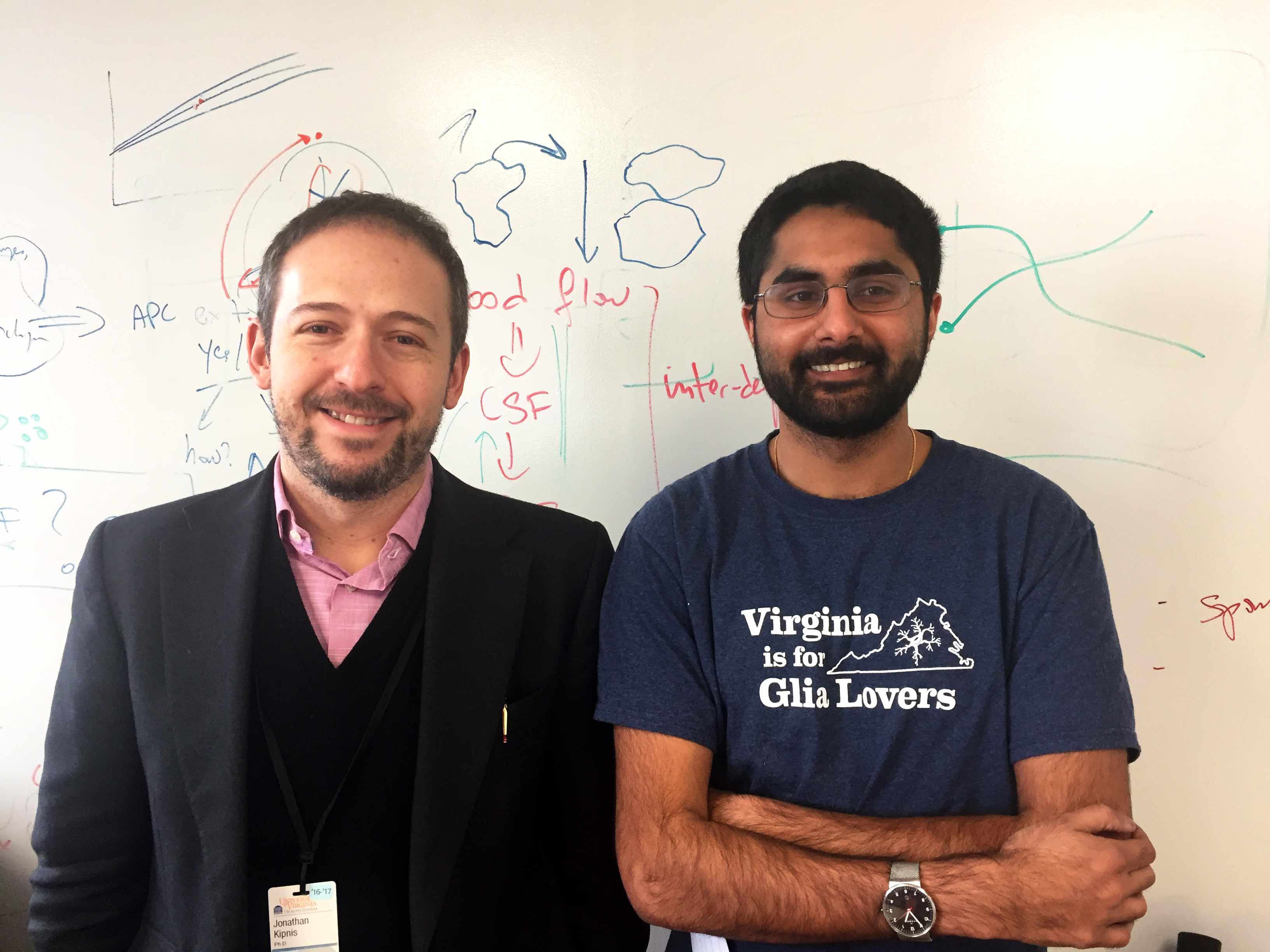 The finding builds on previous work by the lab of Jonathan Kipnis, left, with researcher Sachin Gadani, that found an unexpected link between the brain and the immune system.