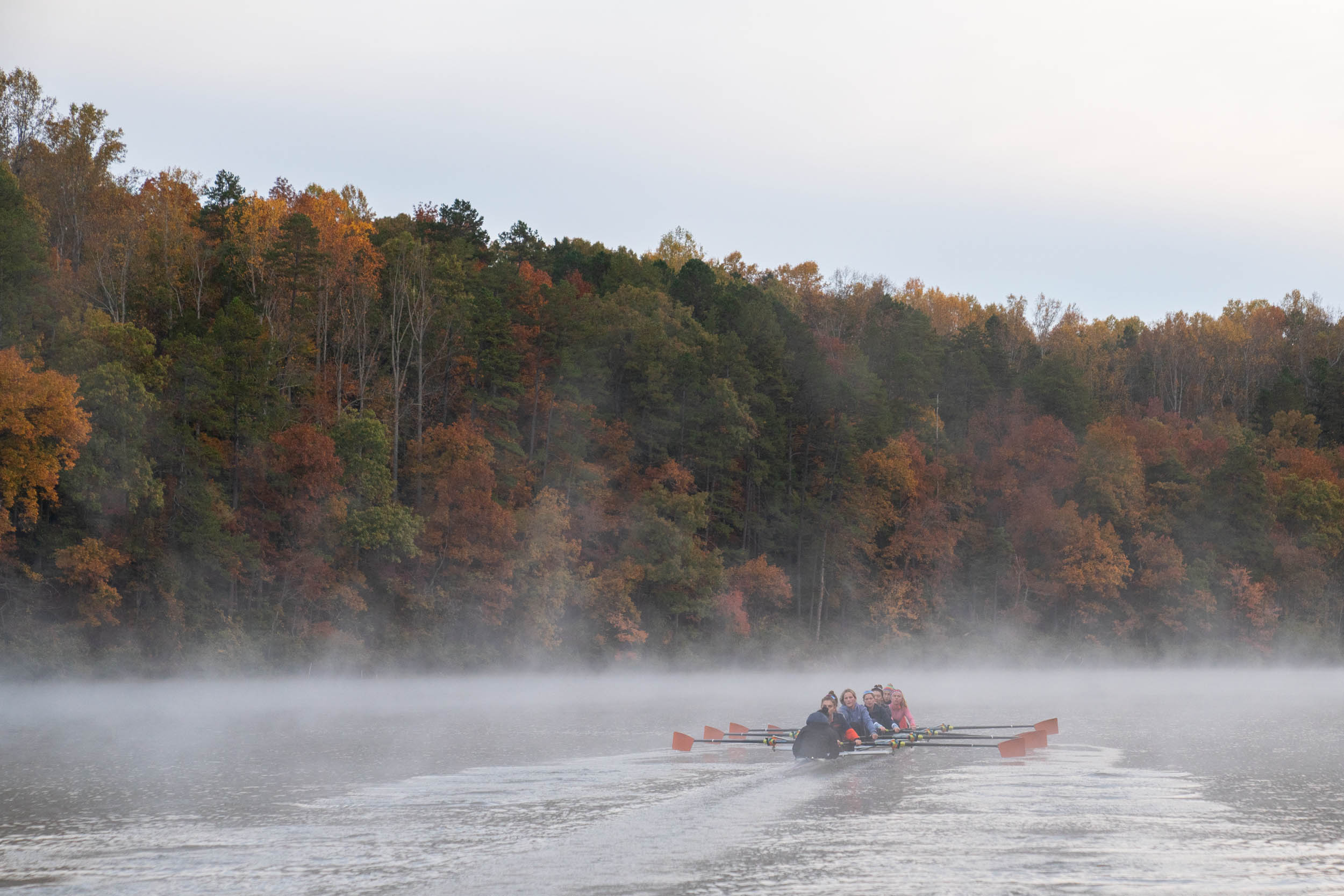 Rowing team on a.foggy river with the surrounding trees turning various colors