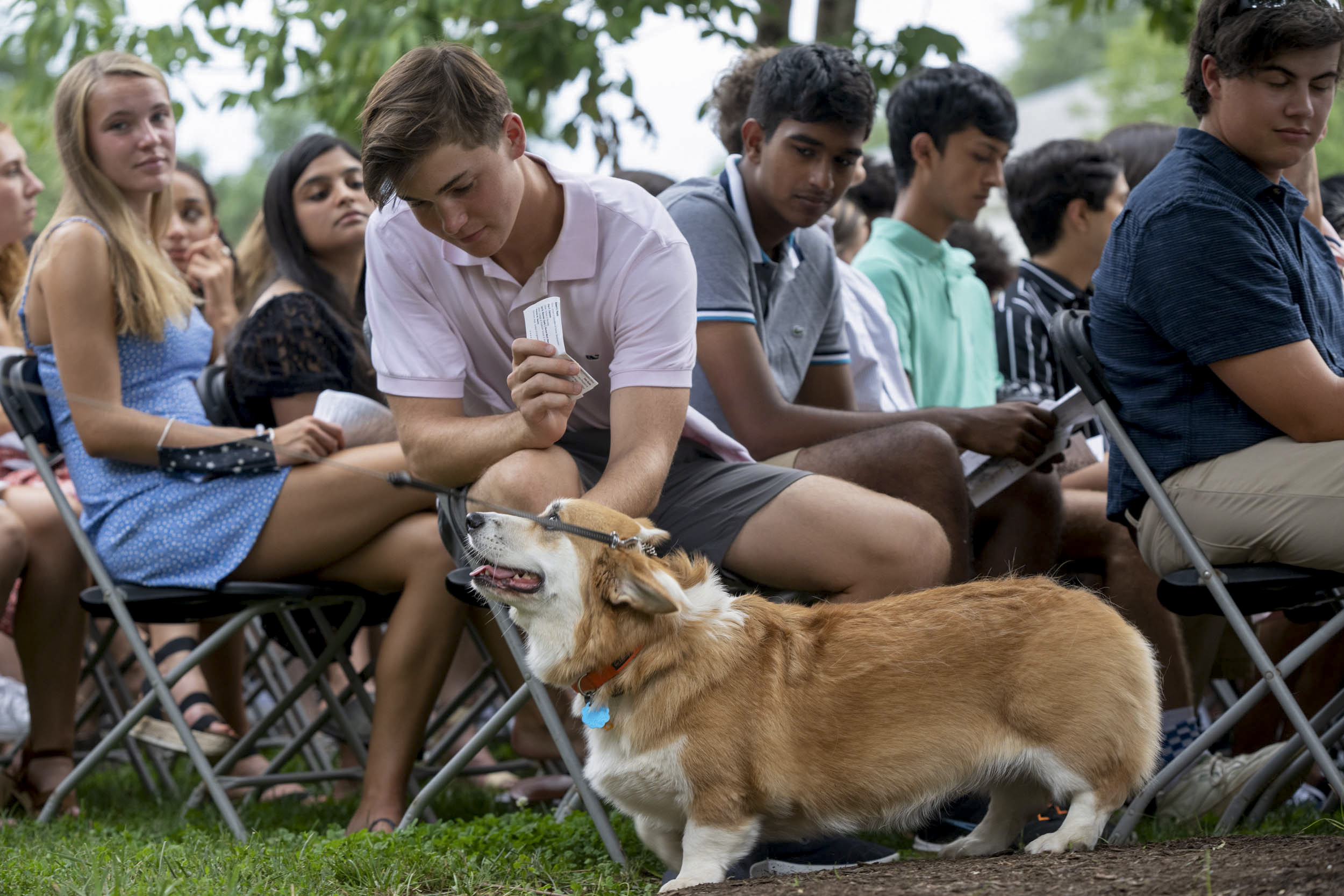 Corgi being bet by a student during the opening convocation