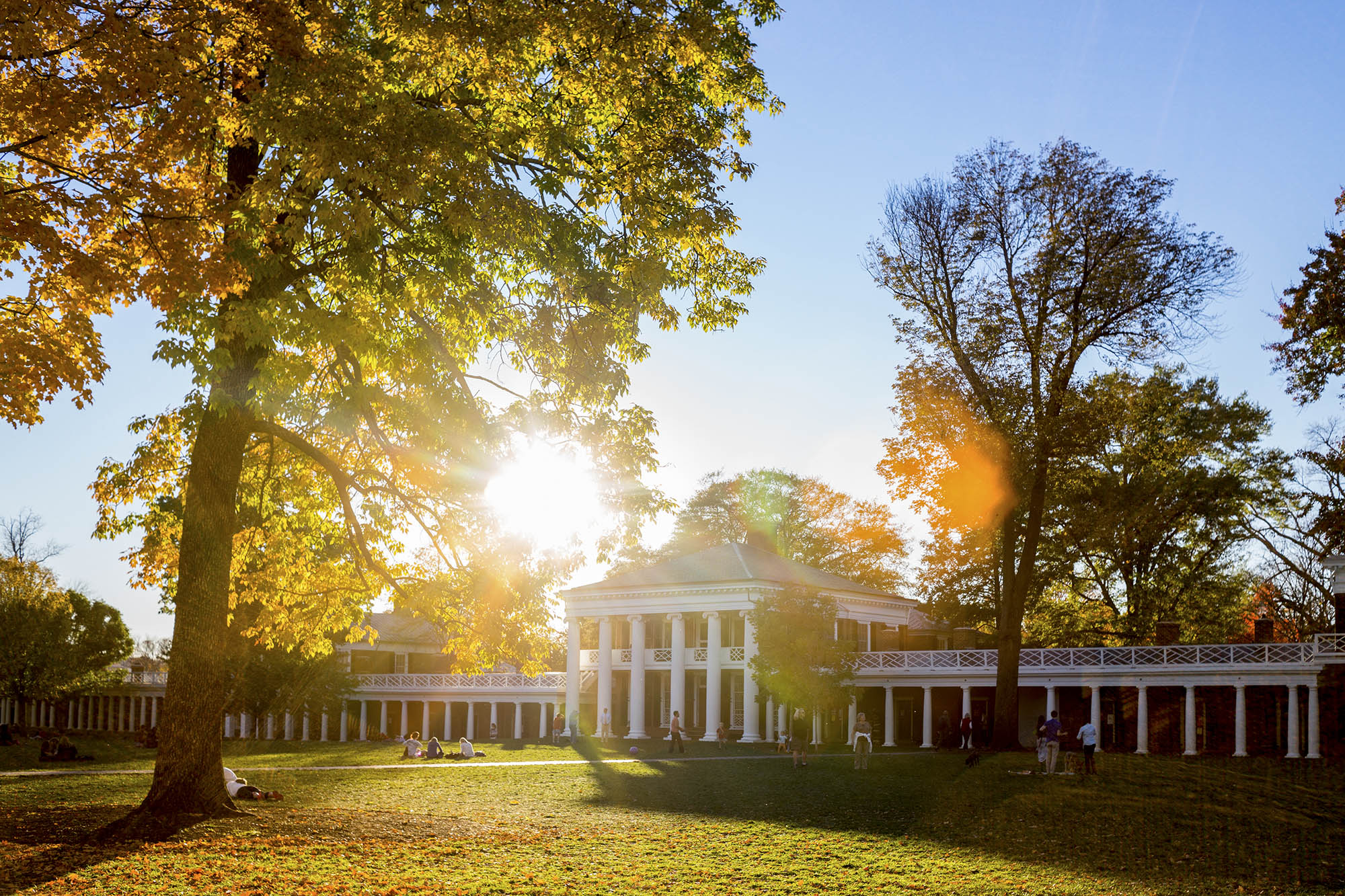 The Lawn buildings with the sun peaking through the trees