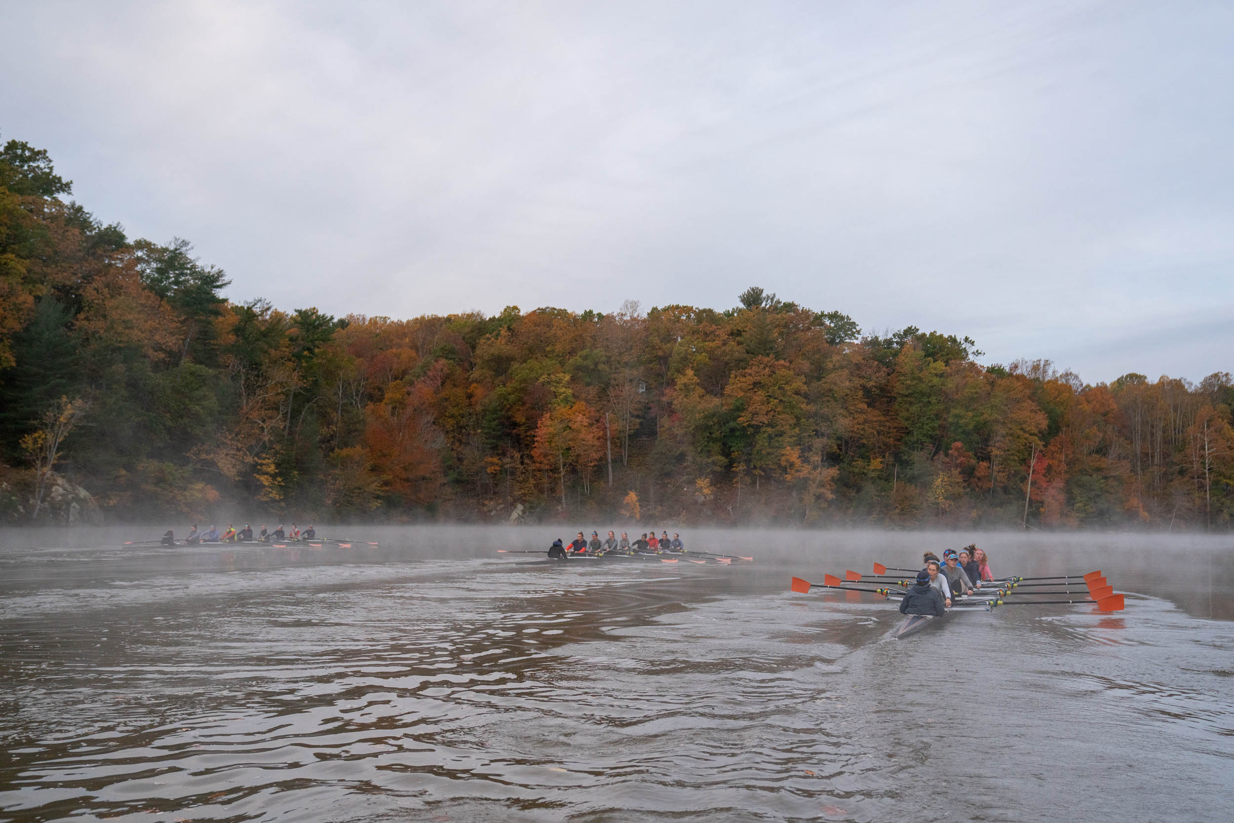 three rowing teams on a foggy river with the bordering trees turning various colors