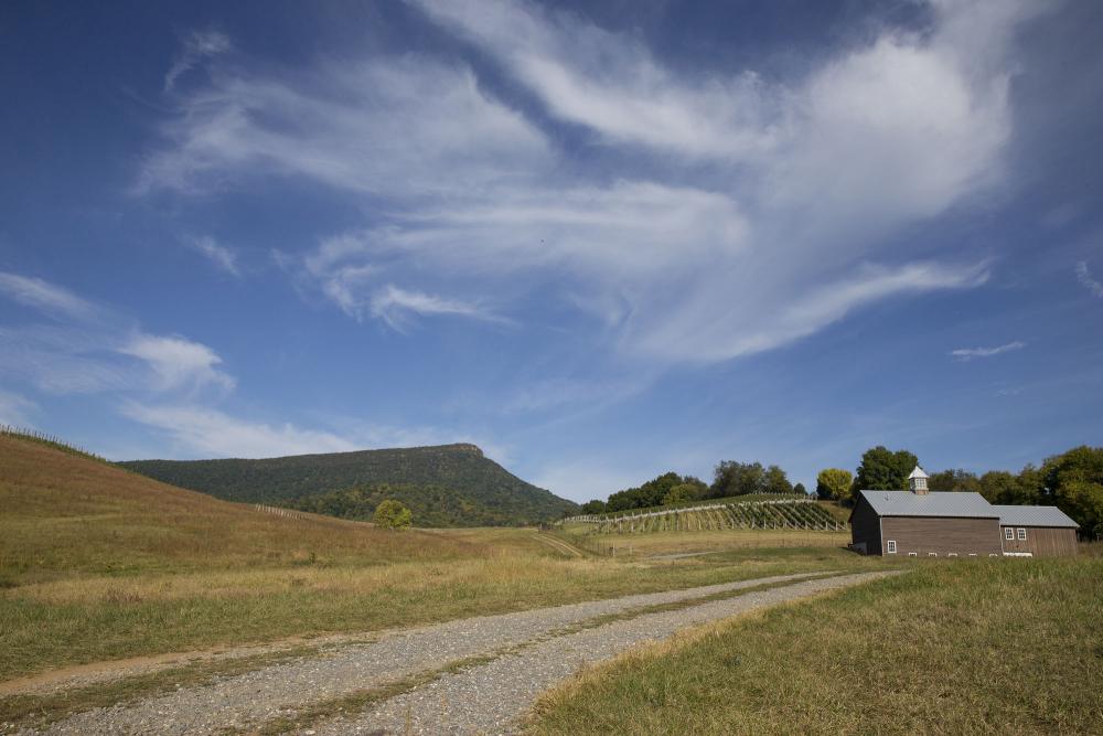 Bank–barn style winery building with the vines and Jump Mountain in the background