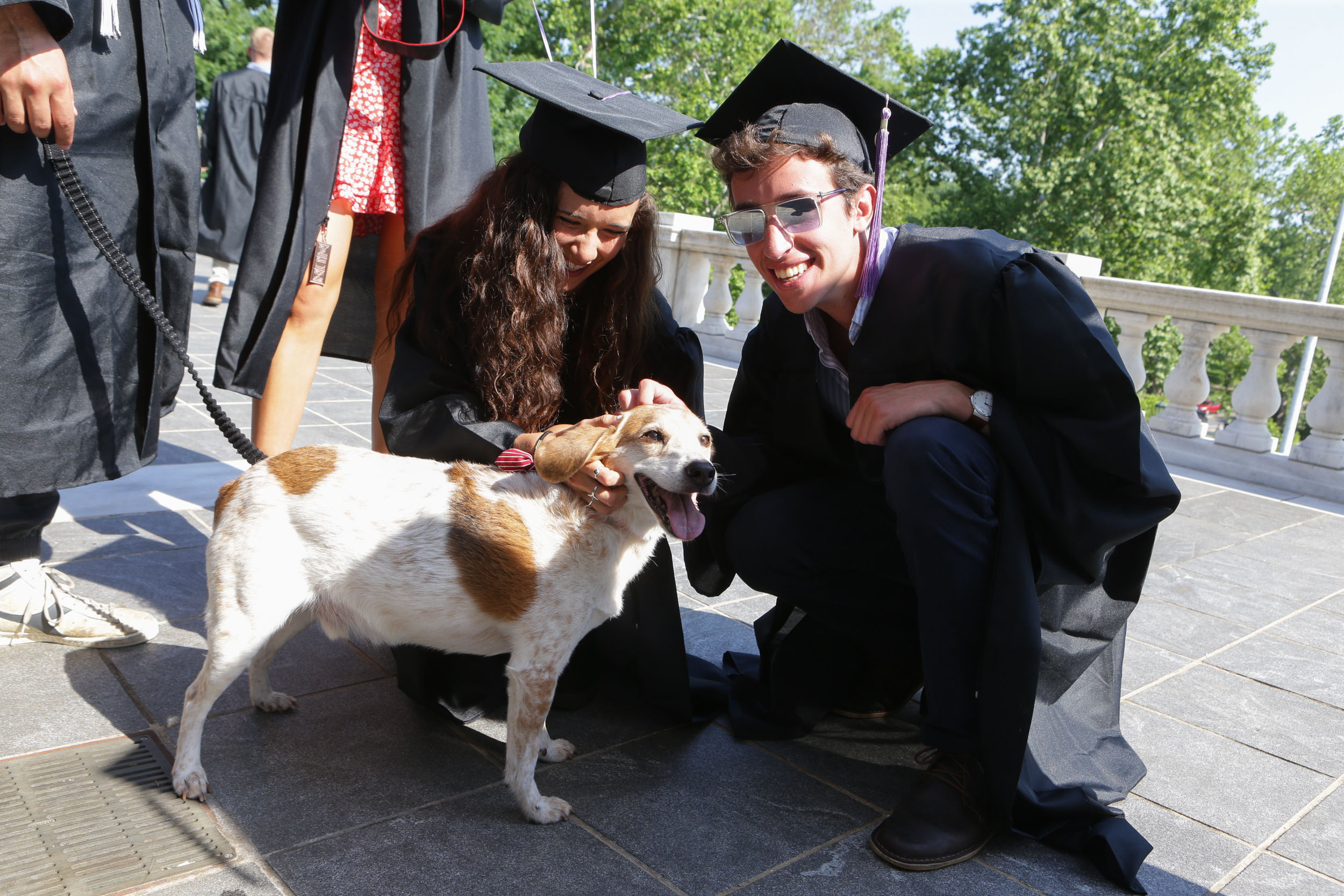 Graduates rub a dog