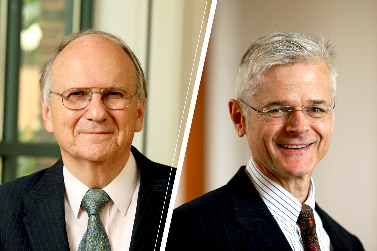 UVA’s A.E. Dick Howard, left, and Daniel Ortiz are among four law professors who filed an amicus brief supporting the governor’s right to “remove political disability by group.”