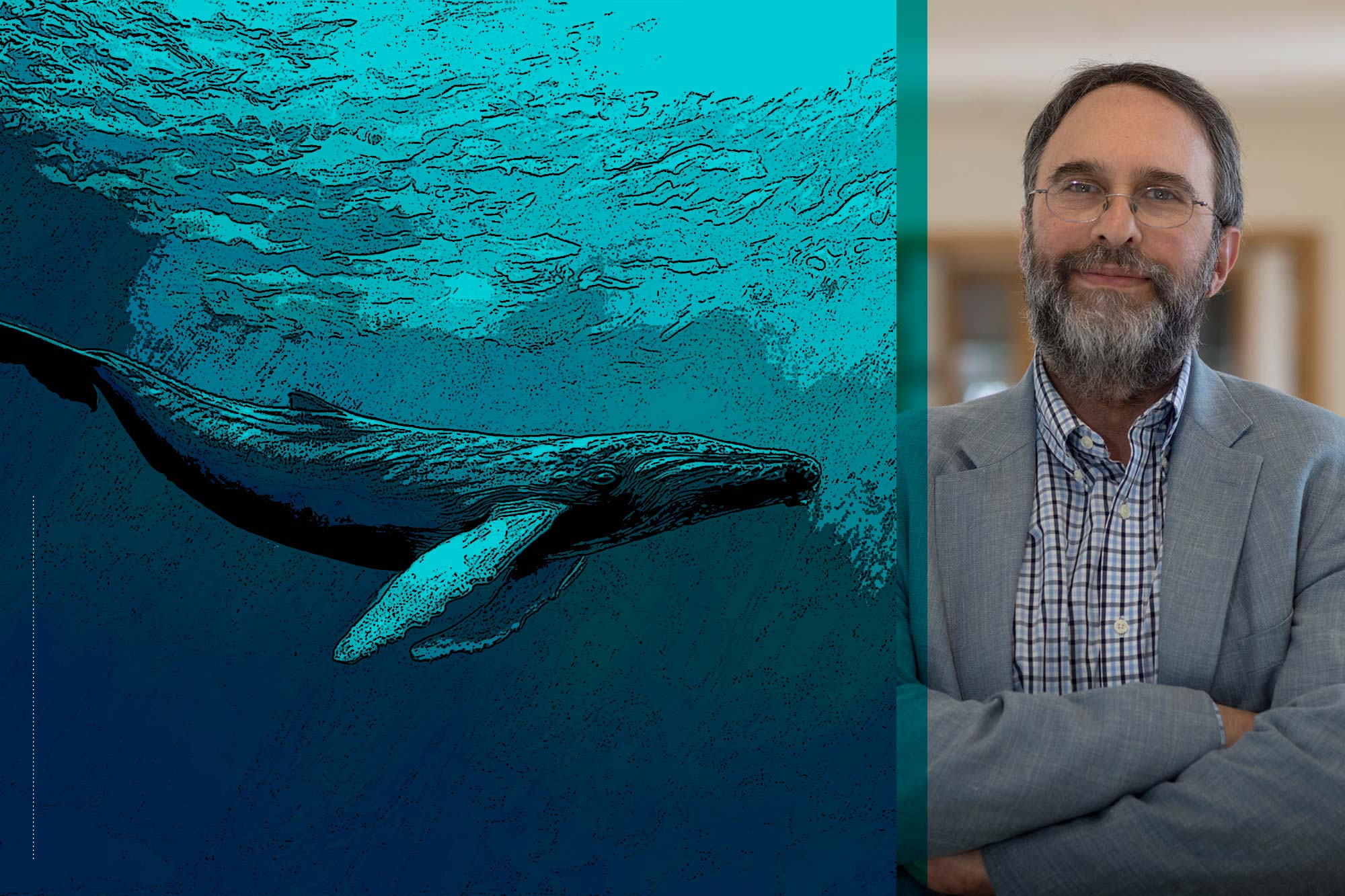 Left: Illustration of a whale in the ocean Right: Victor Luftig headshot