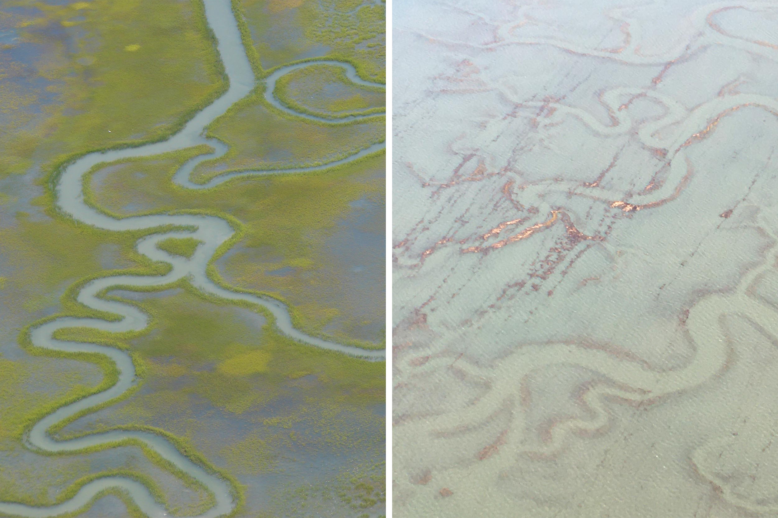 Left is a marsh at normal high tide.  It is green and you can see distinct outline of the river feeds; right is marsh during king tide and is grey with the outline of the river