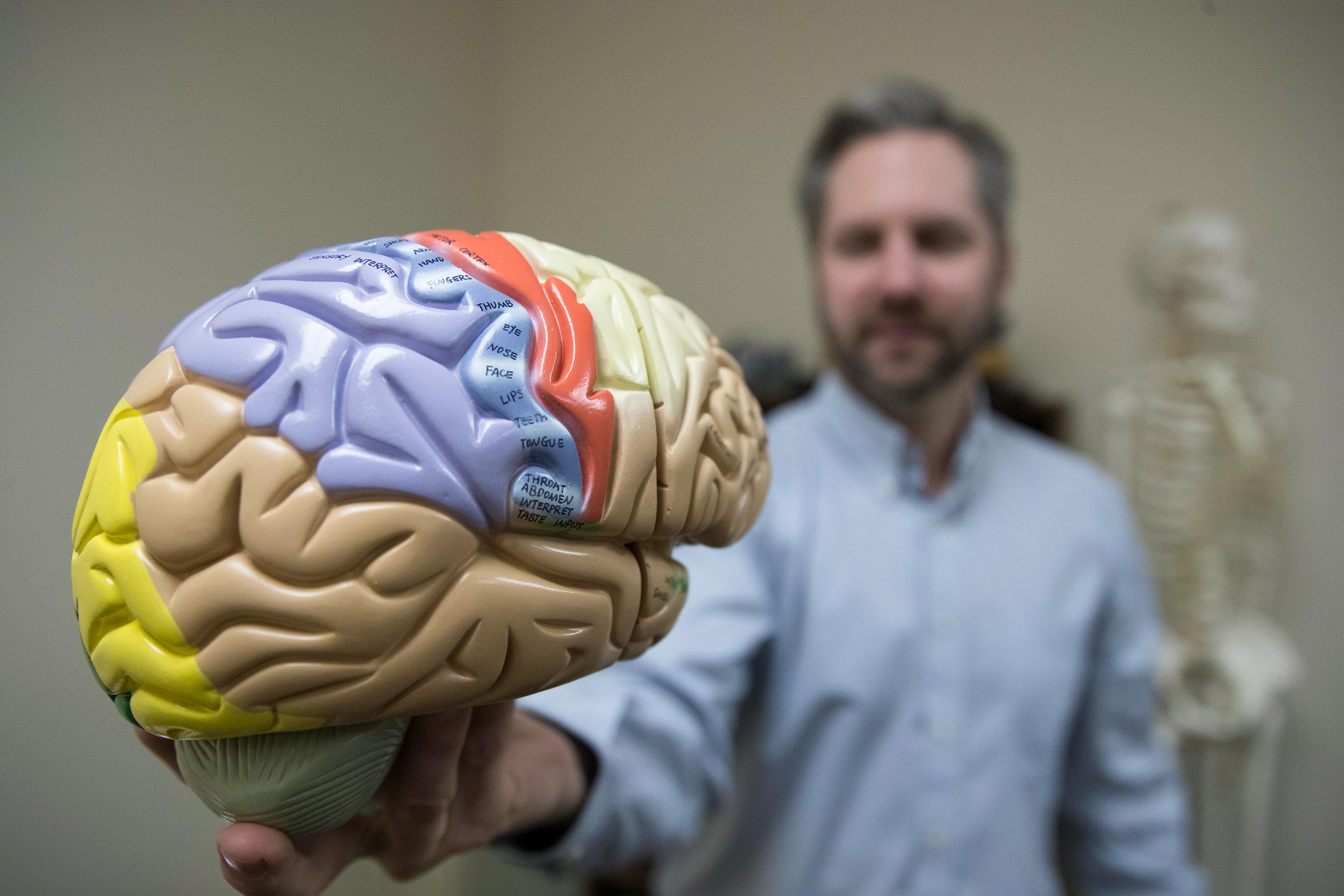 Matthew Panzer holds a 3d model of a human brain that has different colors