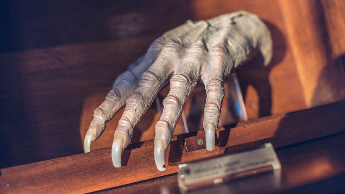 A model of a shriveled hand with long fingernails