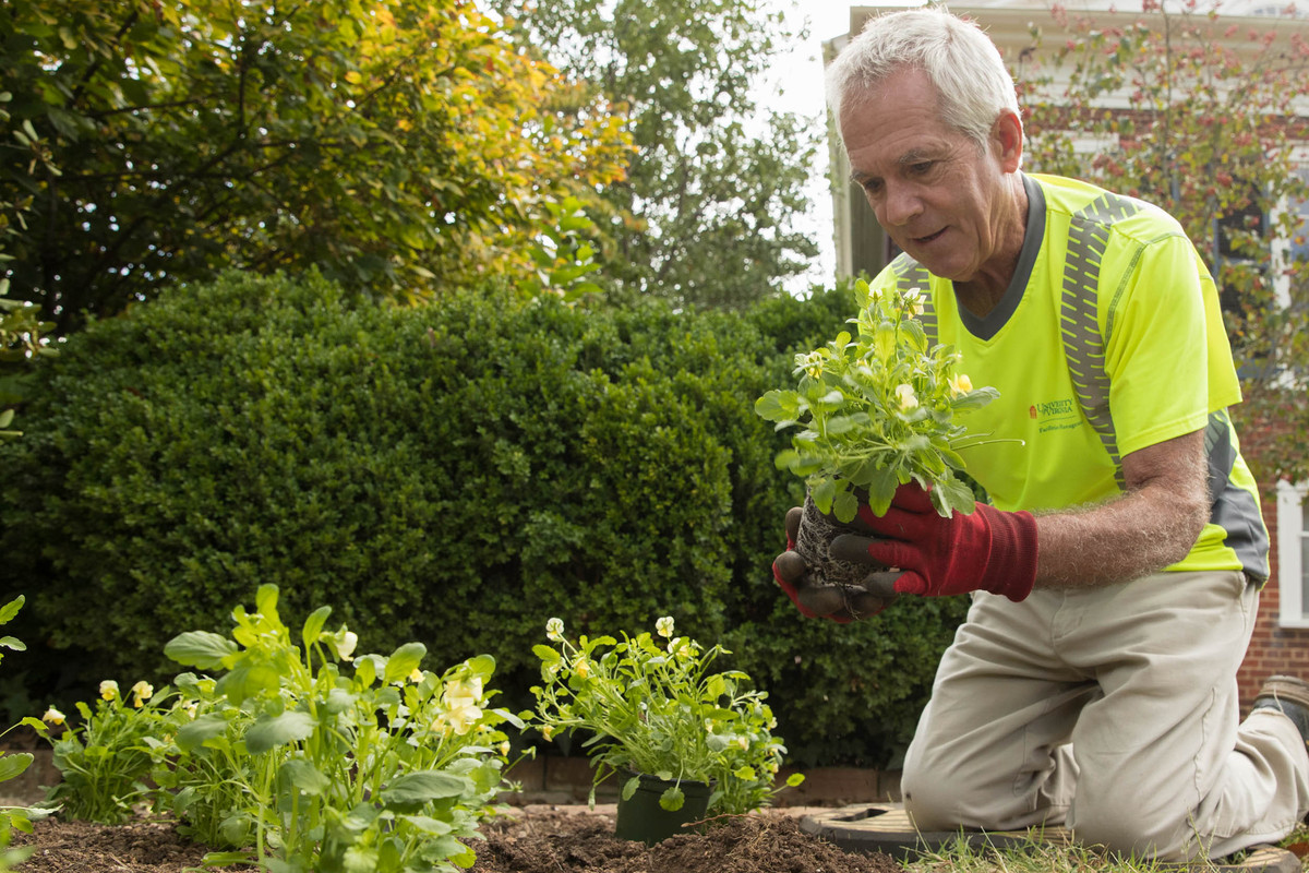 Gardener Mike Beaudreau replacing plants in a pavilion garden