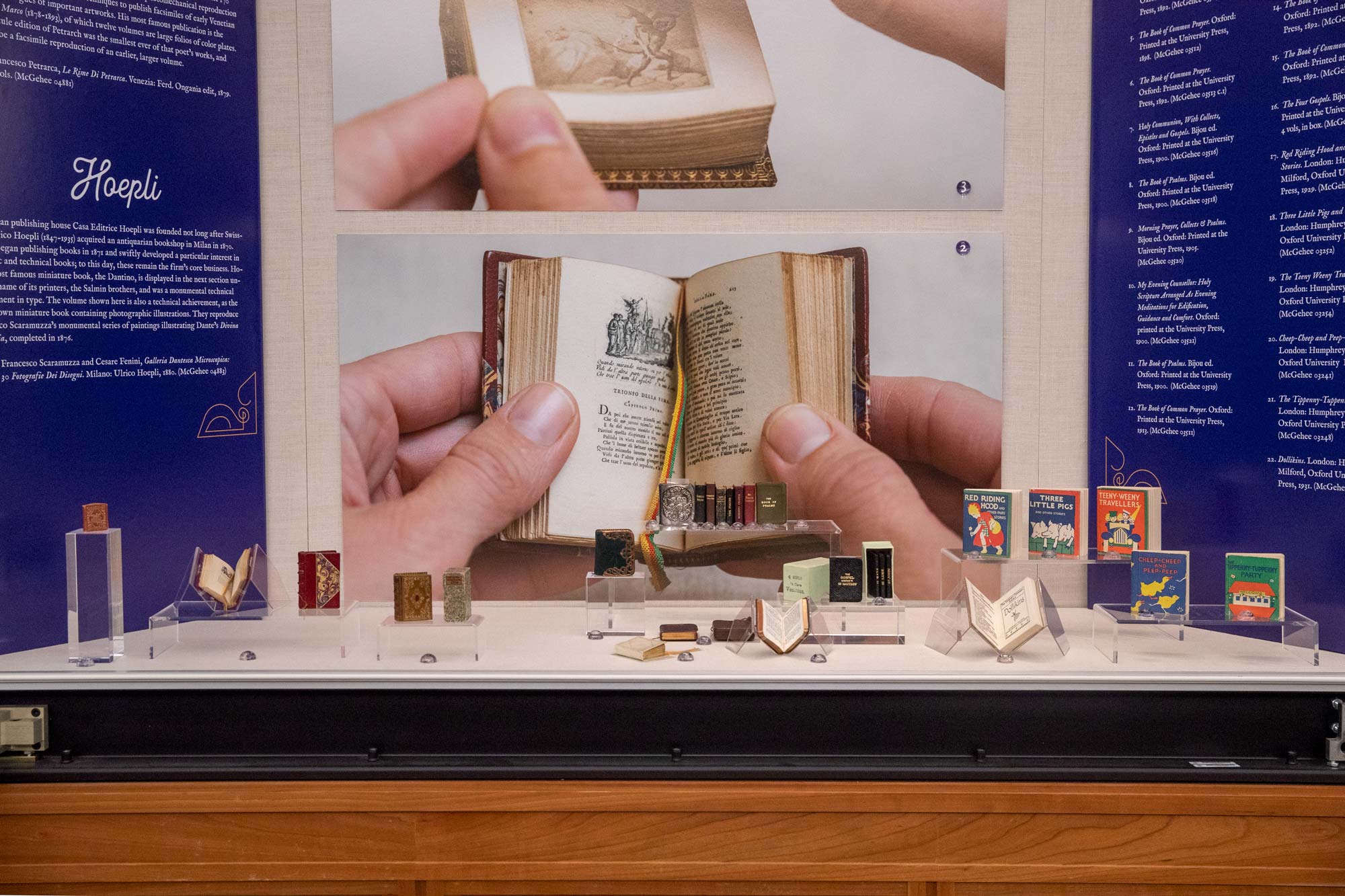 Exhibit of mini books with mini books displayed